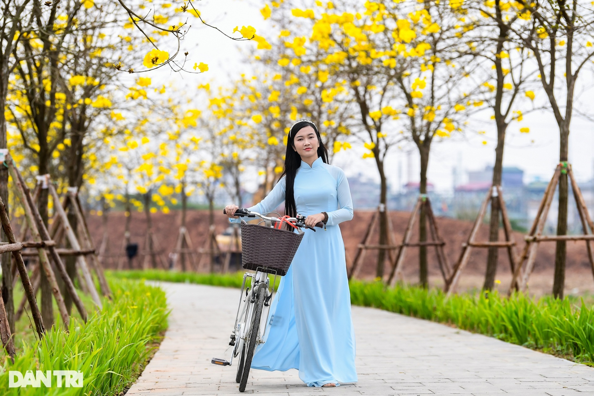 Cung đường hoa vàng nổi nhất Hà Nội thu hút đông người chụp ảnh, check-in - 9