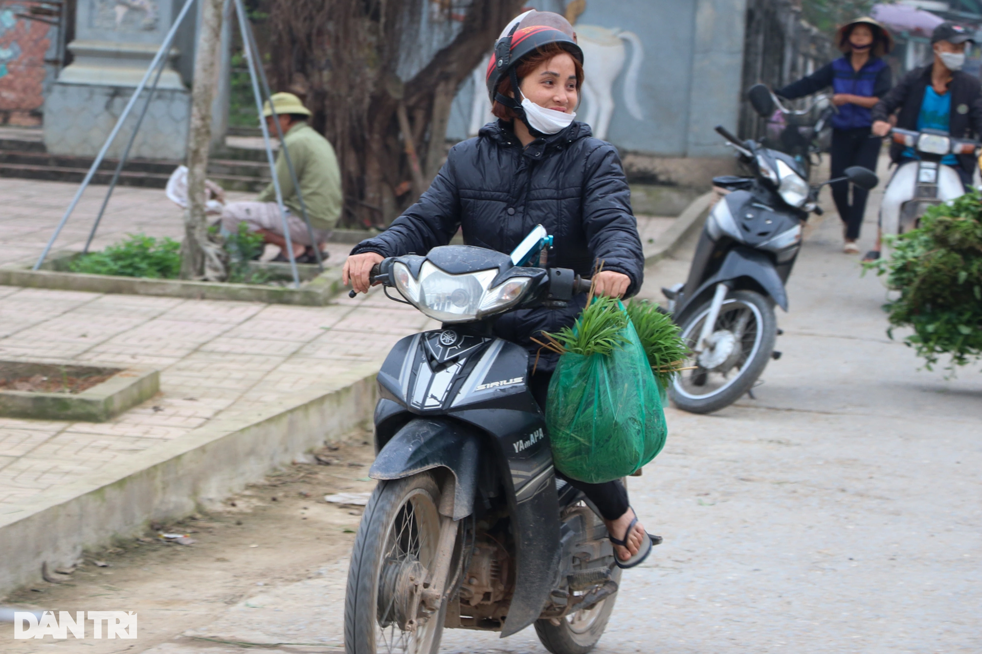 Nông dân hồ hởi nhổ lúa non bán, vớ bẫm - 10