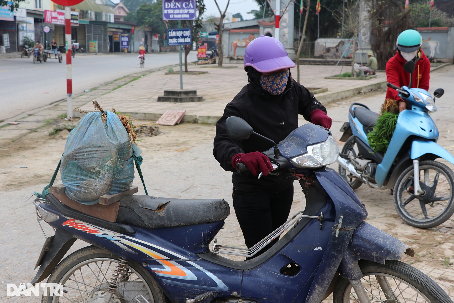 Nông dân hồ hởi nhổ lúa non bán, vớ bẫm - 11