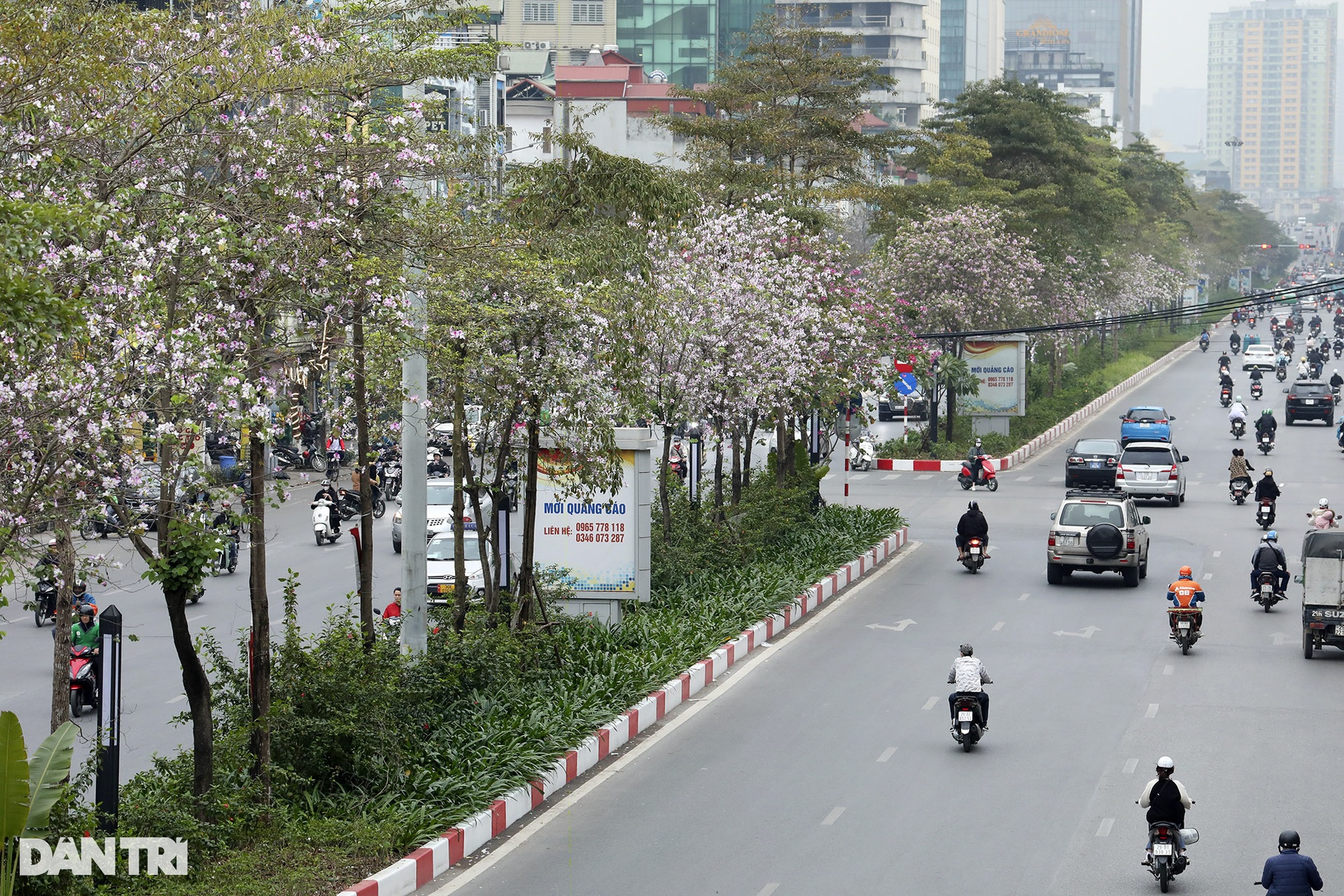 Xanh mát những cung đường mùa xuân trong lòng Hà Nội - 3