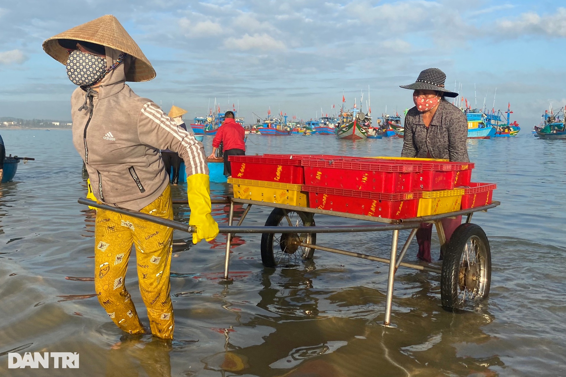 Phụ nữ vùng biển tất bật với mùa phơi cá cơm - 4