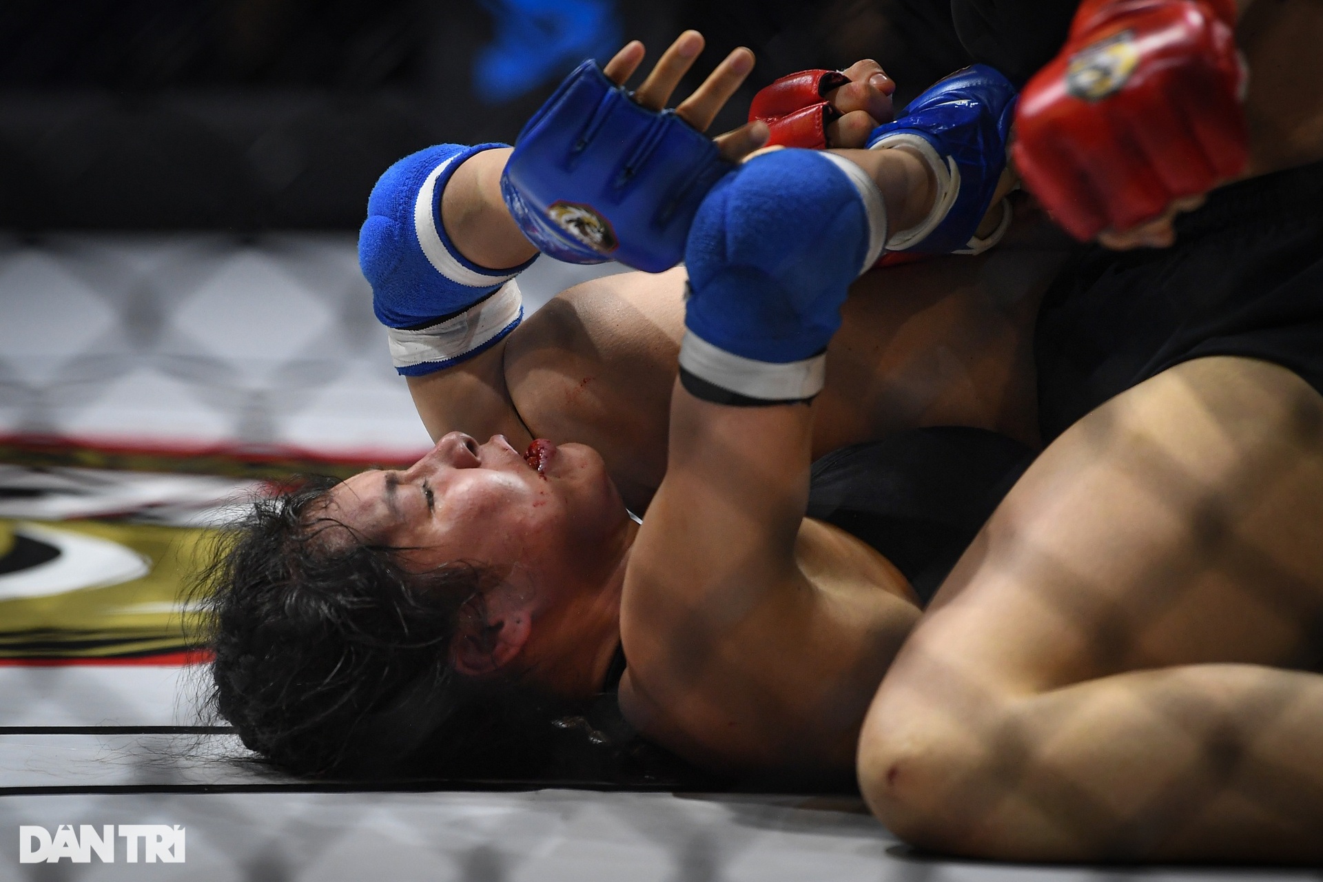 Bóng hồng Hungary hạ knock-out võ sĩ Việt Nam trong ngày khai màn MMA 2023 - 12