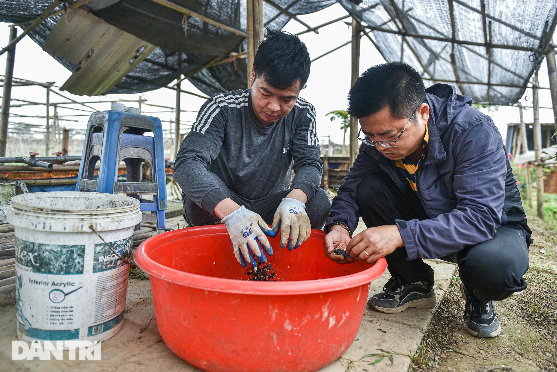 Giám đốc ngân hàng lương 1,2 tỷ bỏ nhà phố, ô tô về quê… trồng mướp - 7