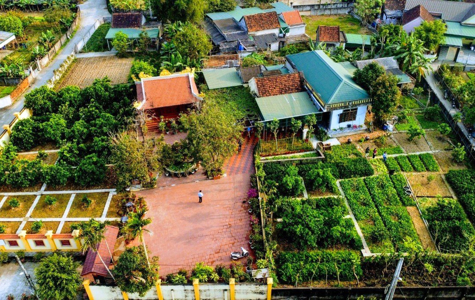 Có gì ở khu vườn chuẩn nông thôn mới đẹp nhất Nghệ An | Báo Dân trí