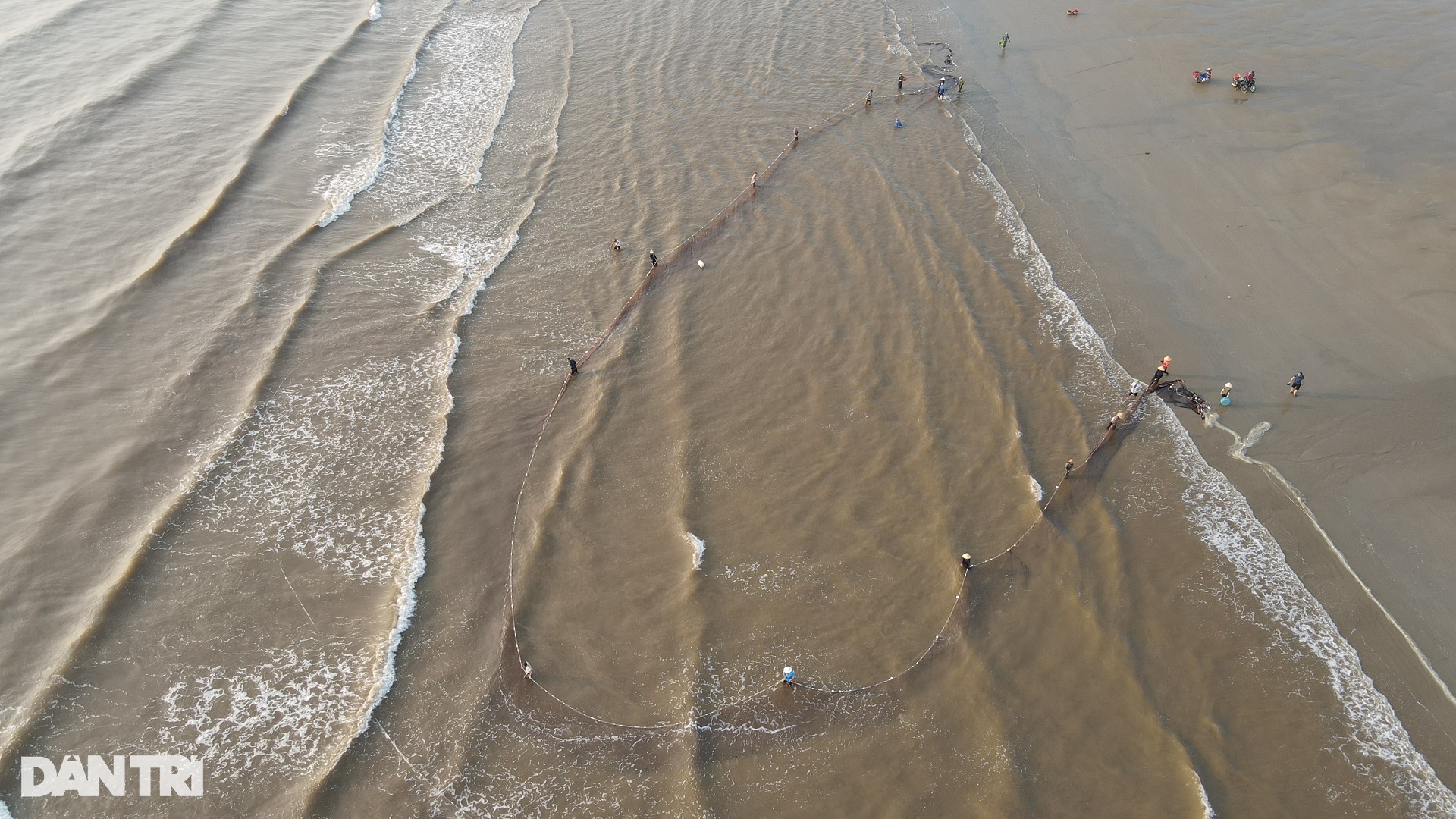 The group of people exercising on the beach also brought back dozens of kilograms of fresh squid - 9 The group of people exercising on the beach also brought back dozens of kilograms of fresh squid - 9