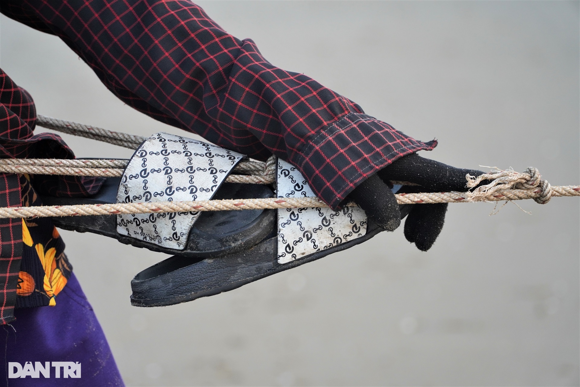 The group of people exercising on the beach also brought back dozens of kilograms of fresh squid - 6