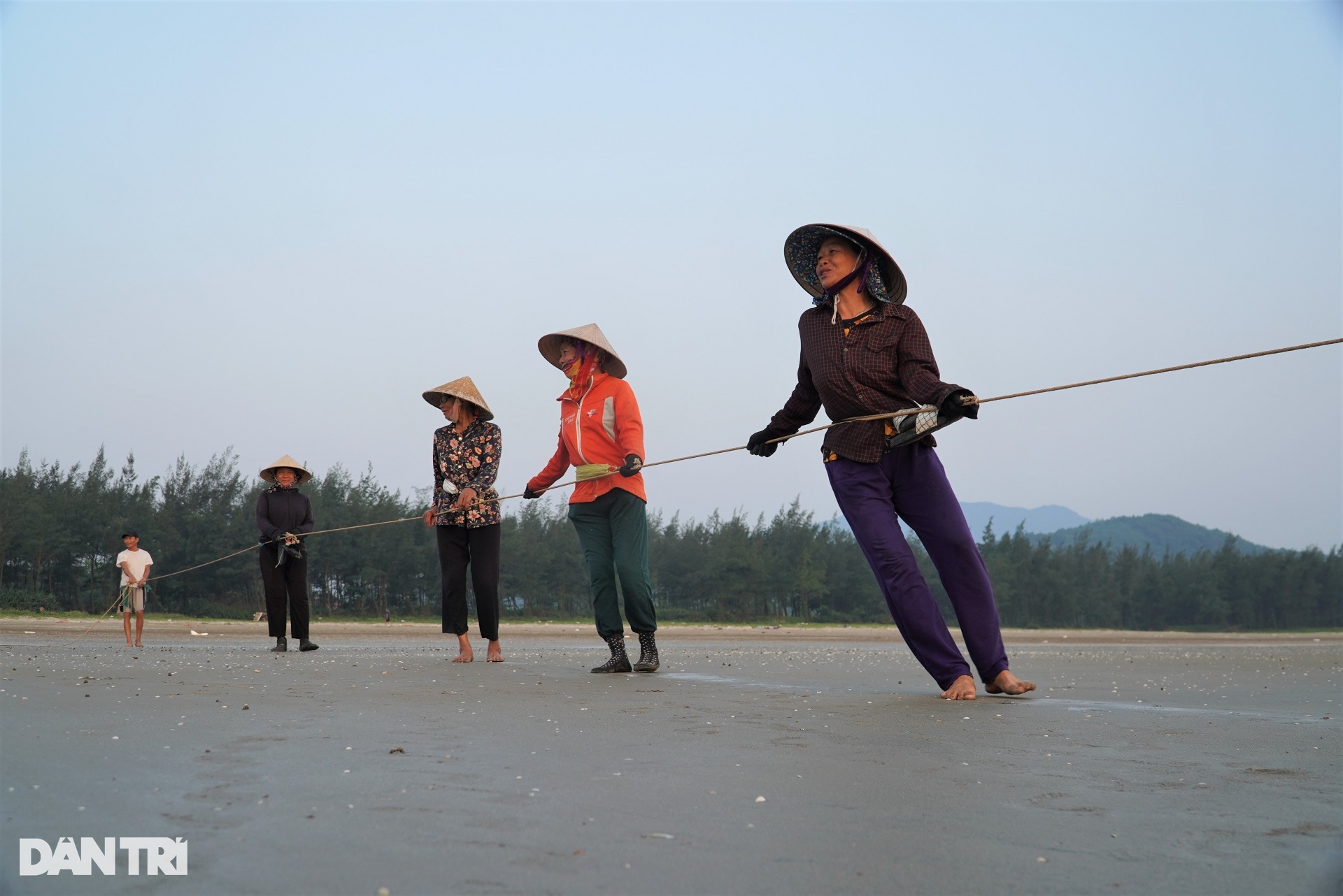 The group of people exercising on the beach also brought back dozens of kilograms of fresh squid - 3