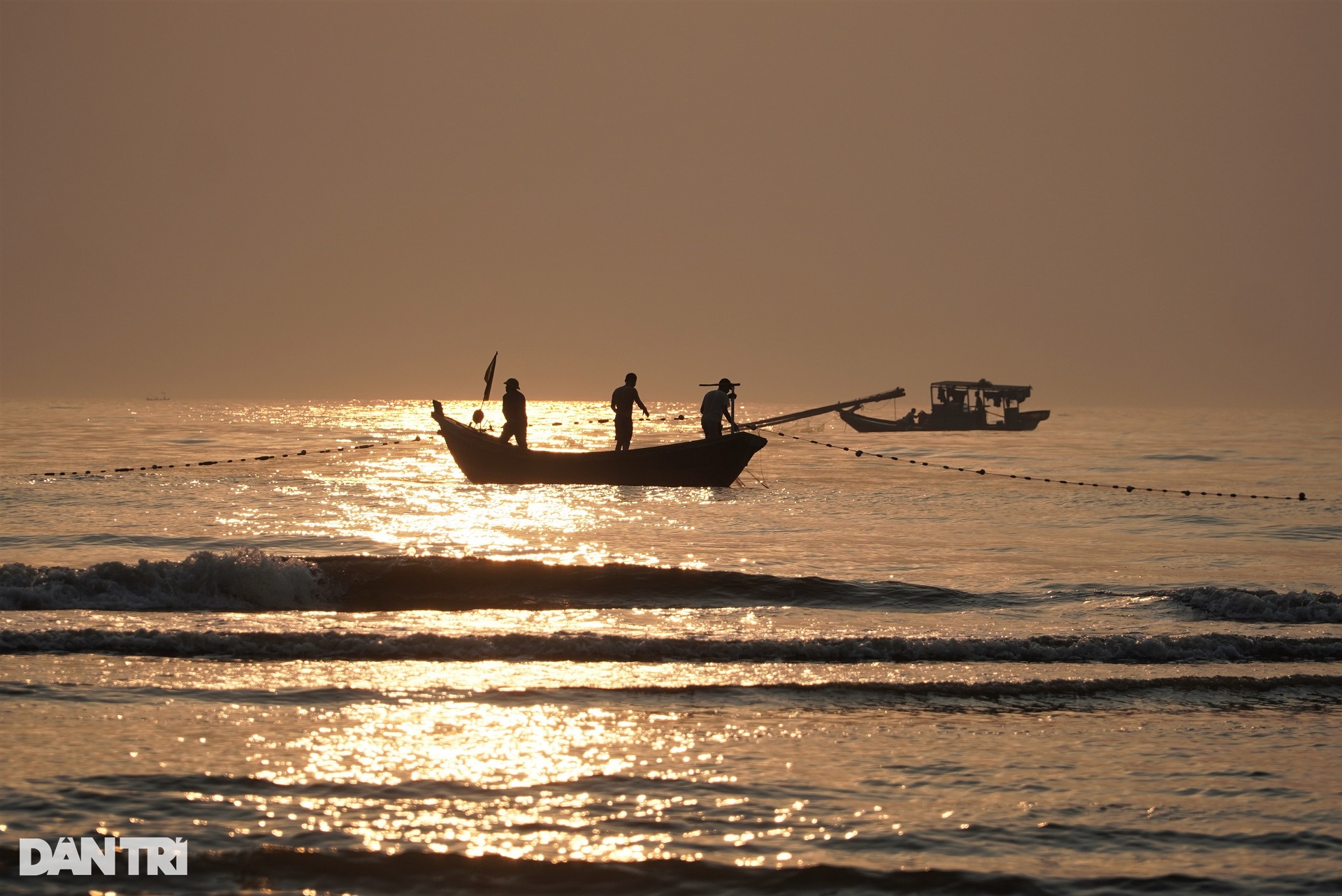 The group of people exercising on the beach also brought back dozens of kilograms of fresh squid - 2 The group of people exercising on the beach also brought back dozens of kilograms of fresh squid - 2