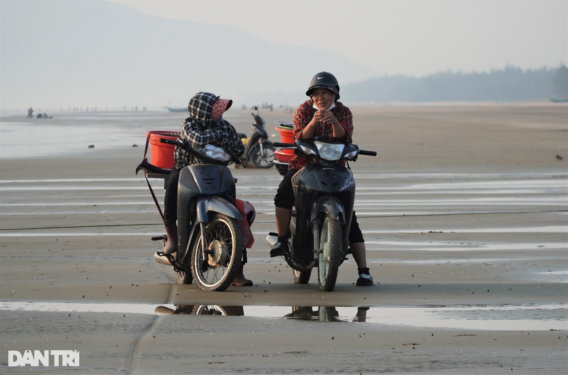 The group of people exercising on the beach also brought back dozens of kilograms of fresh squid - 8