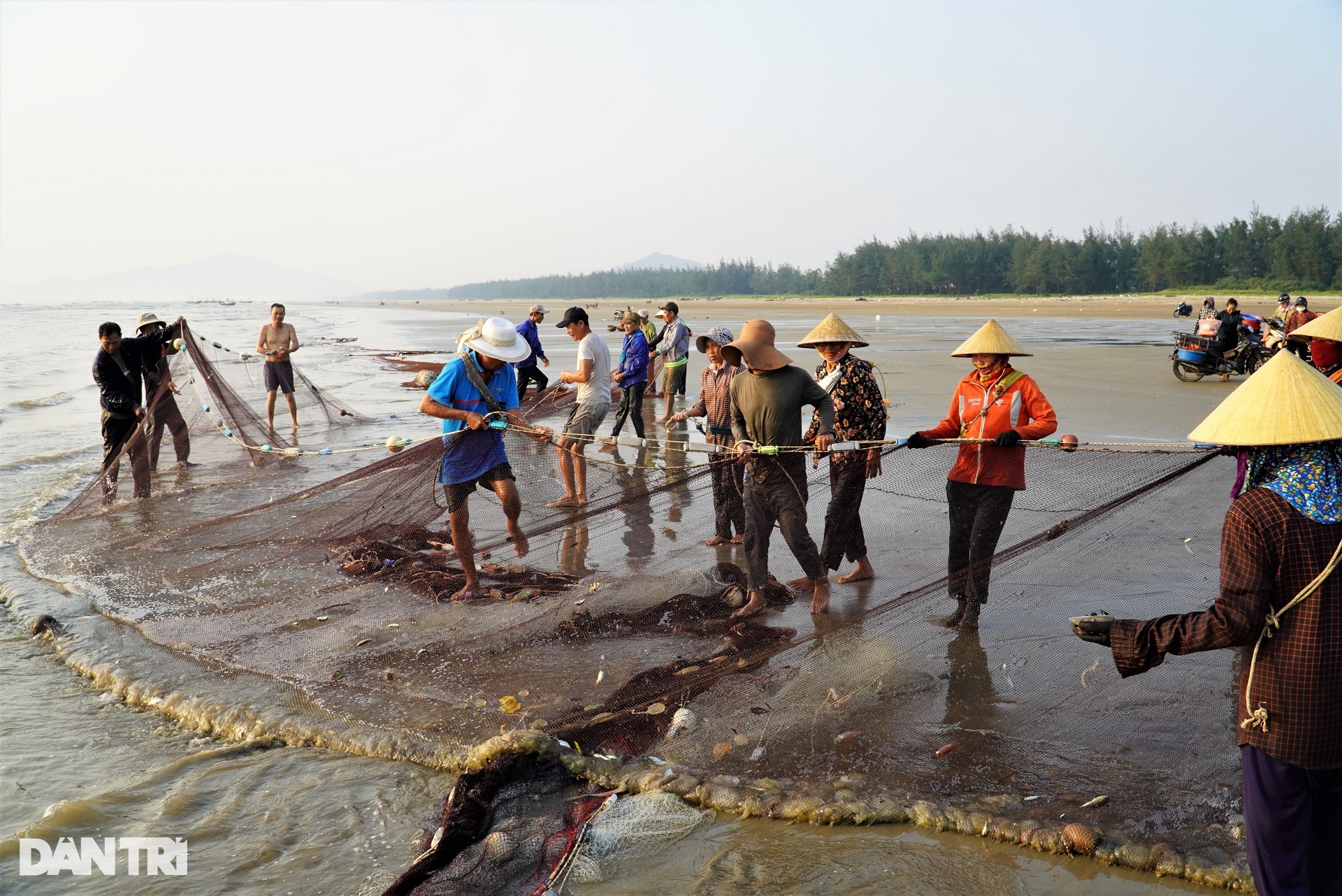 The group of people exercising on the beach also brought back dozens of kilograms of fresh squid - 10