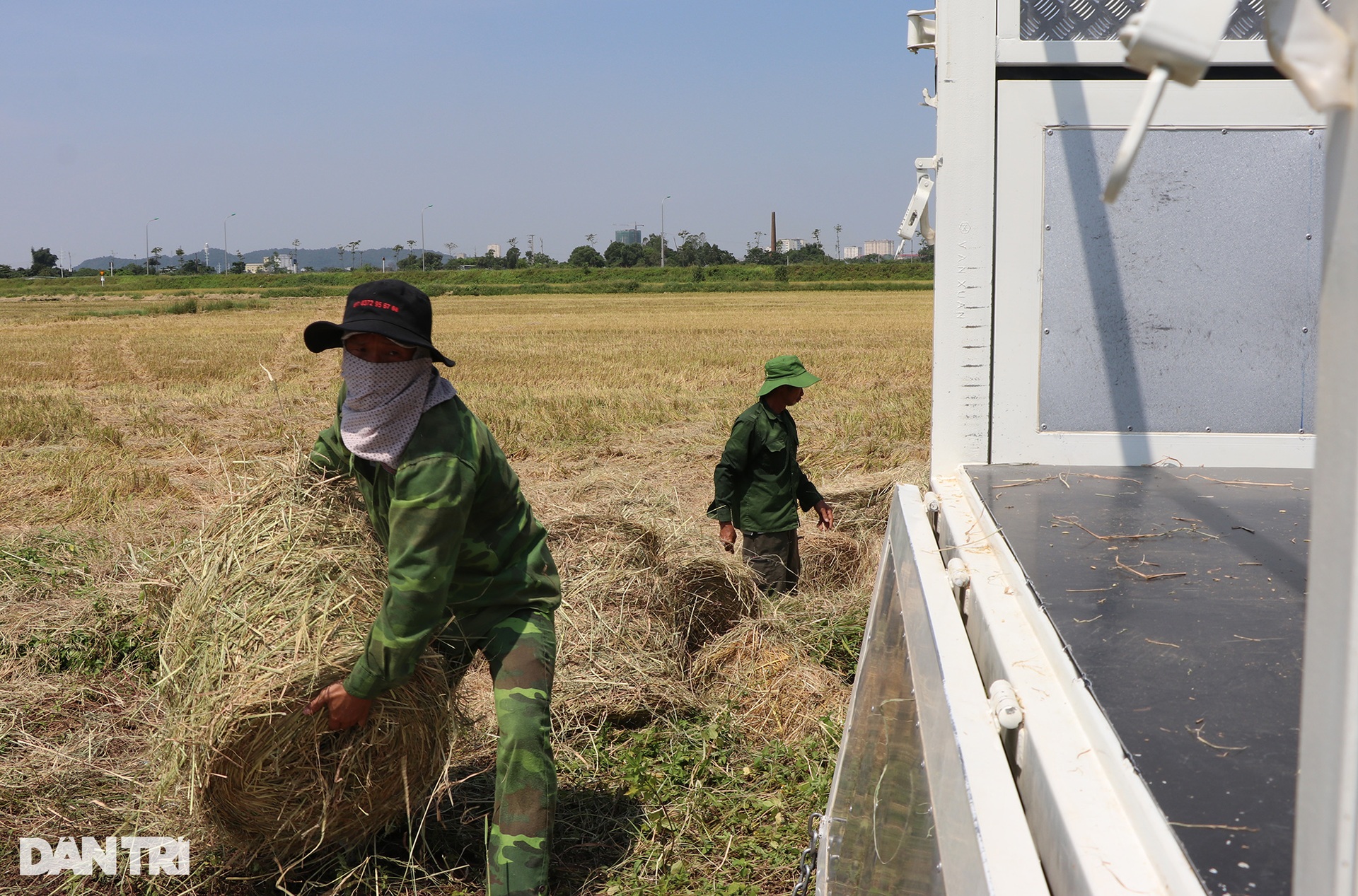 Cướp nắng với trời, kiếm mỗi ngày cả triệu đồng - 10