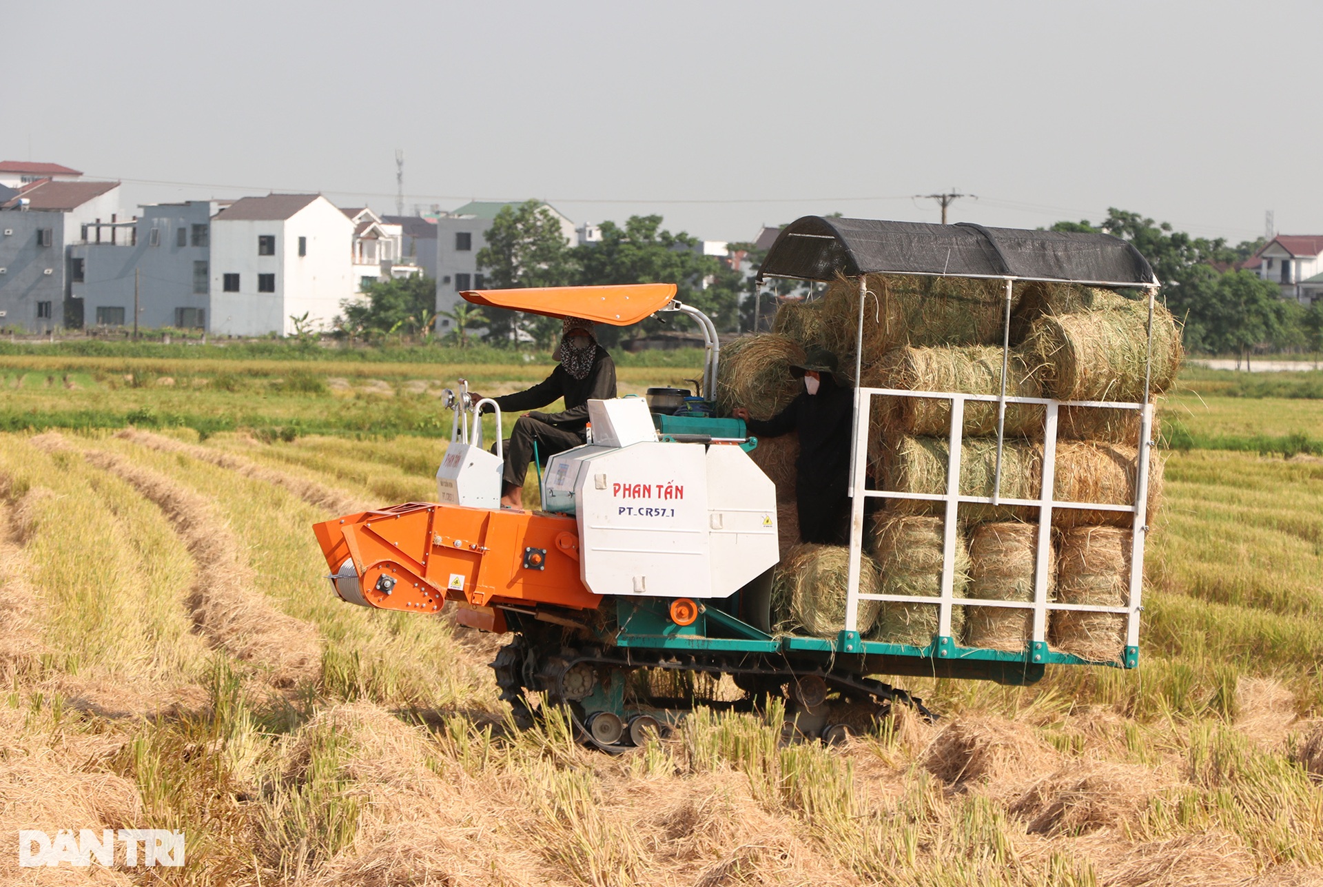 Cướp nắng với trời, kiếm mỗi ngày cả triệu đồng - 4