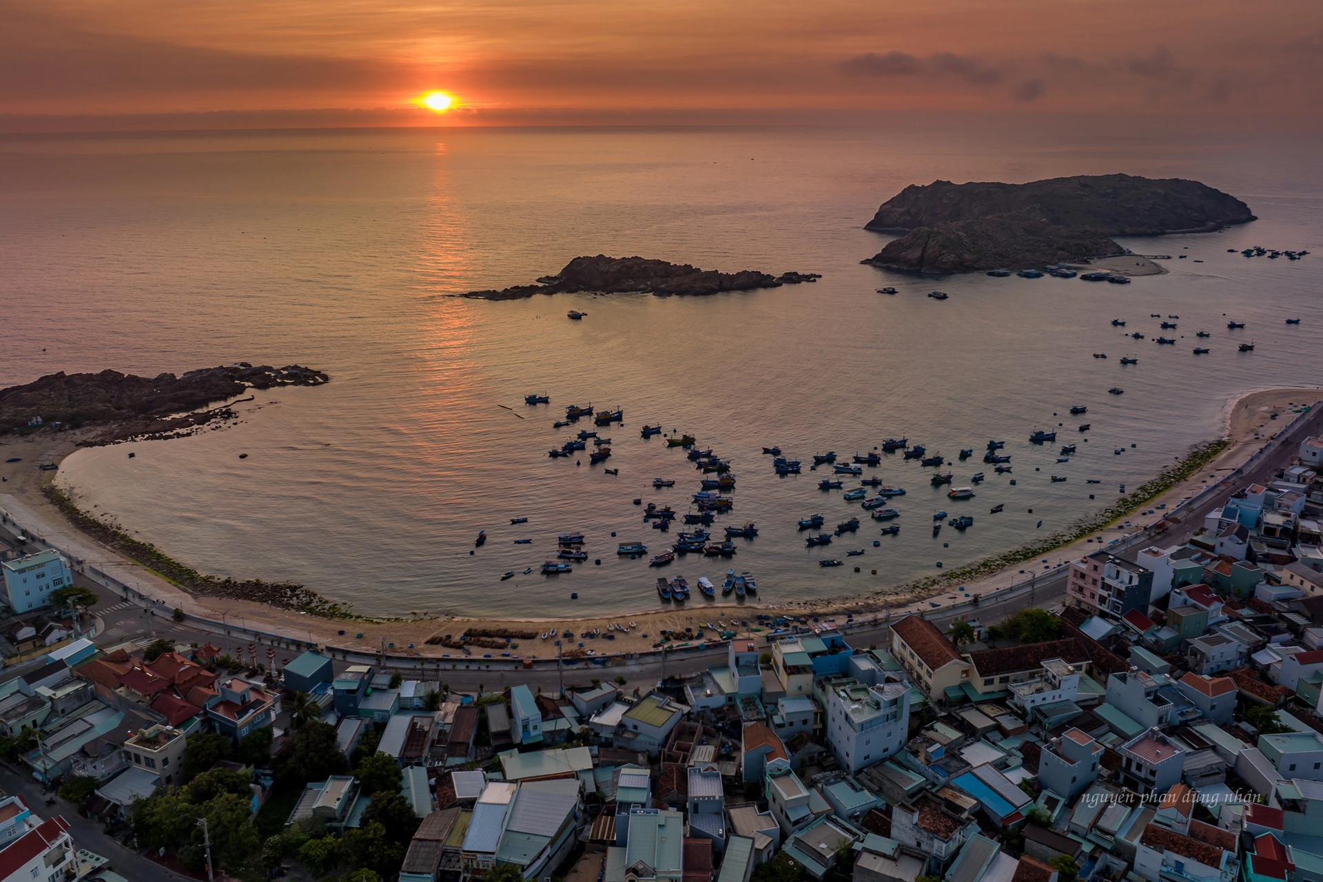 See the yellow seaweed field under Quy Nhon sea - 8