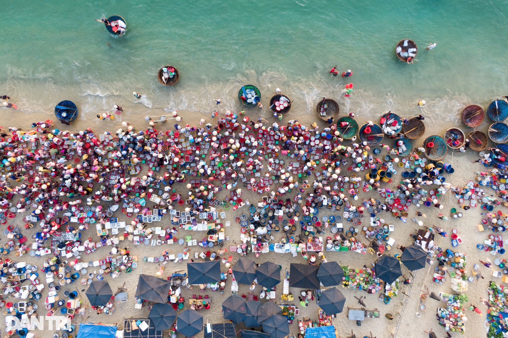 Image of the largest beach fish market in the Central region - 10