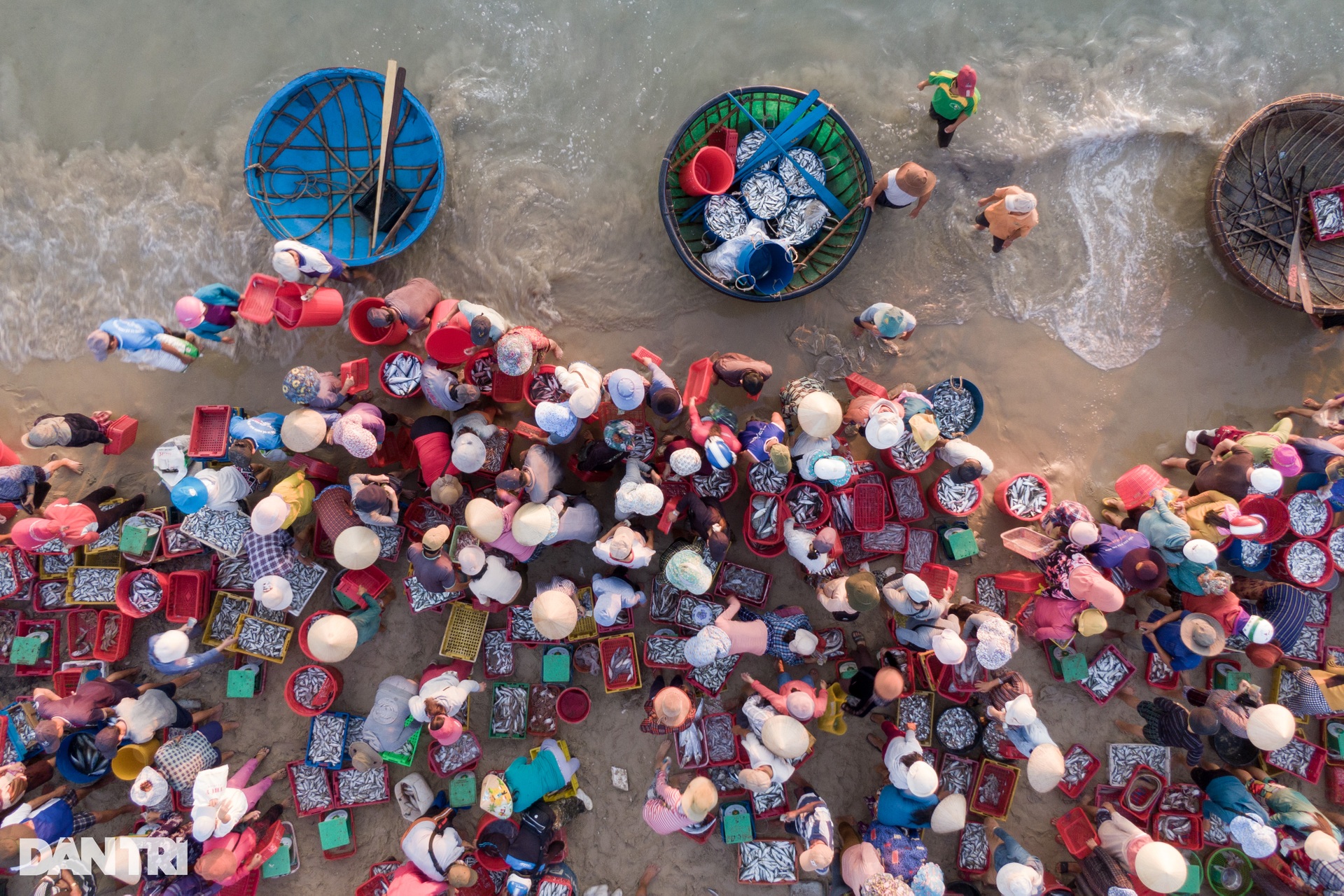 Image of the largest beach fish market in Central Vietnam - 12