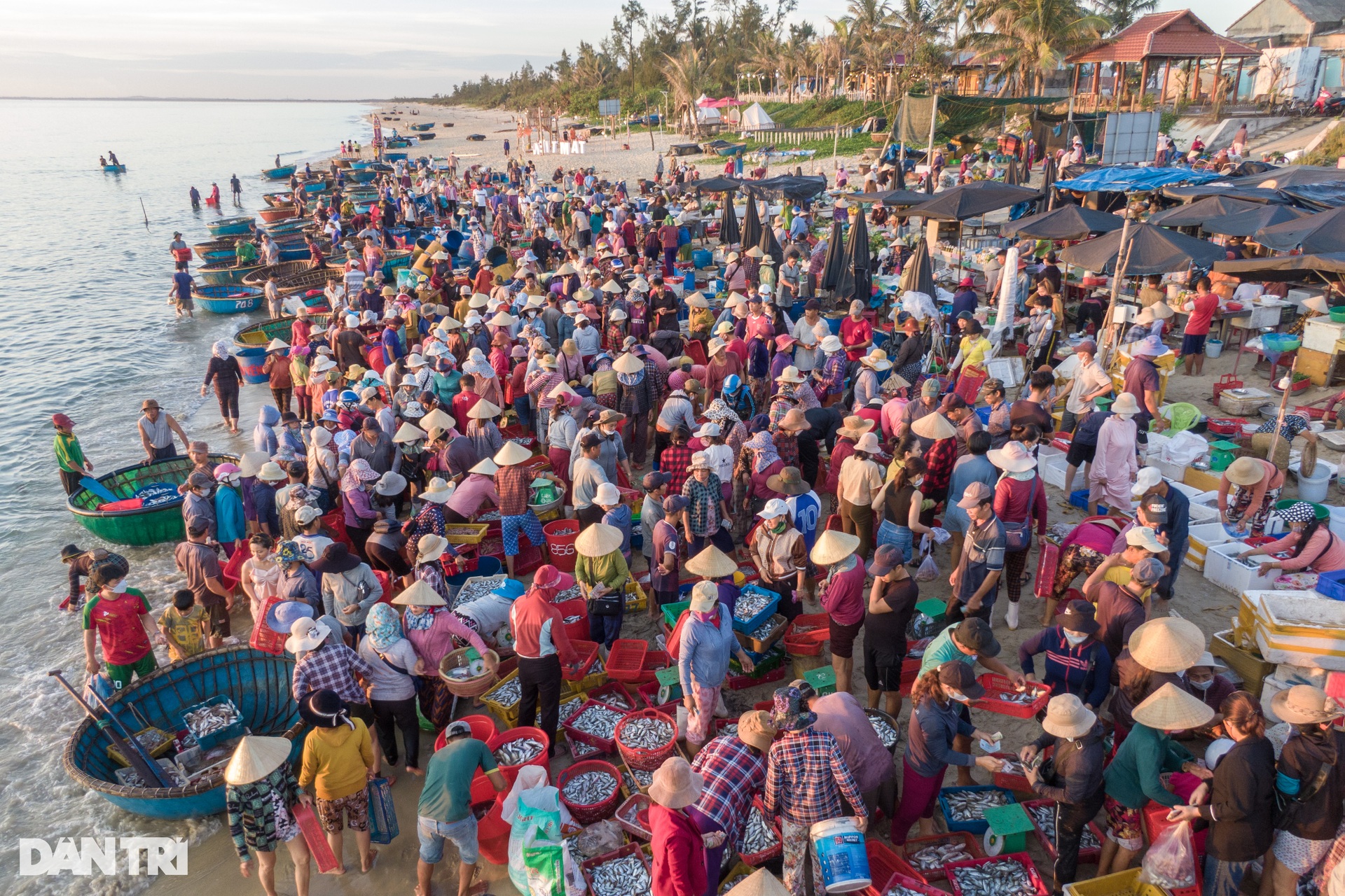 Image of the largest beach fish market in the Central region - 13