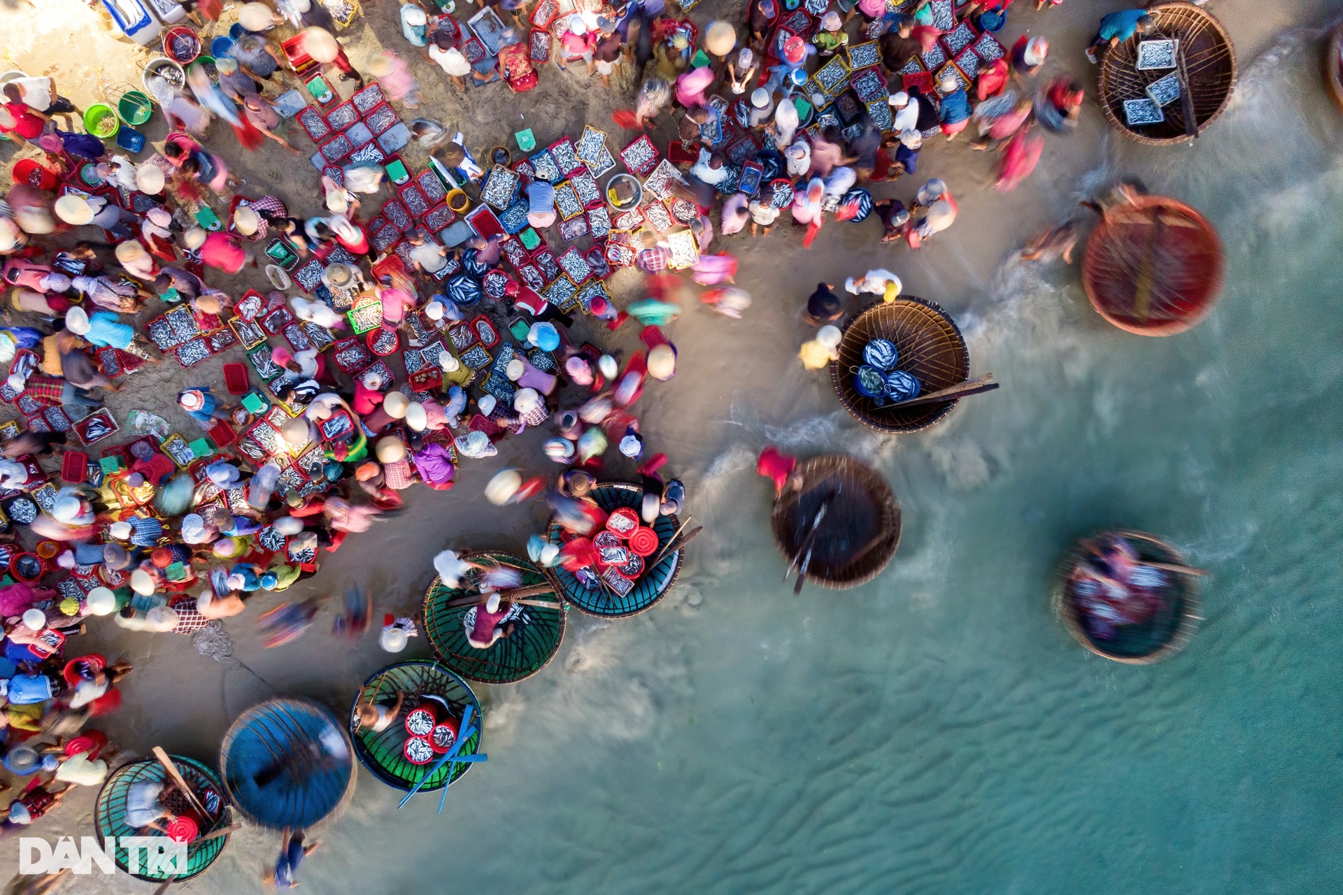 Image of the largest beach fish market in Central Vietnam - 7