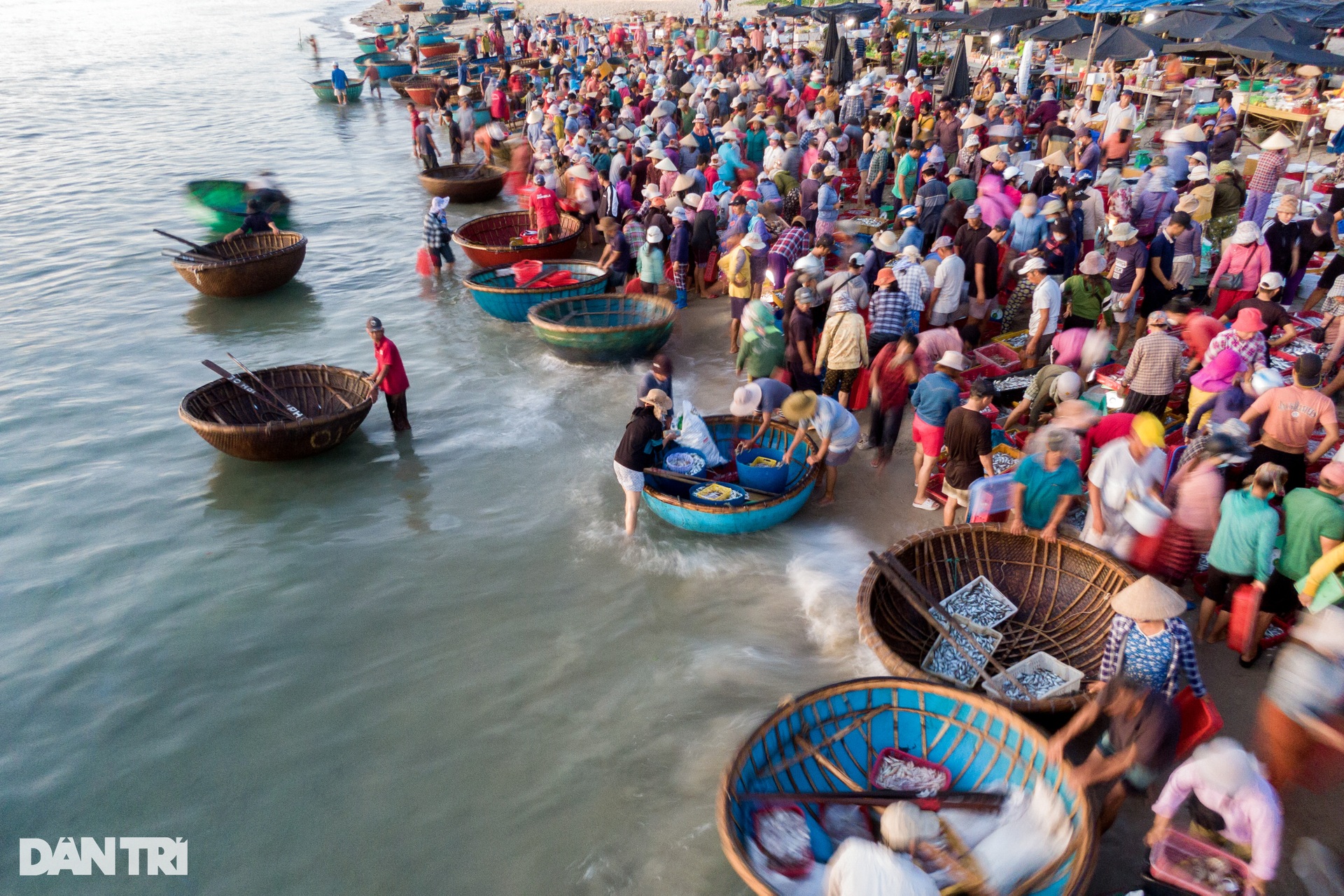 Image of the largest beach fish market in the Central region - 8