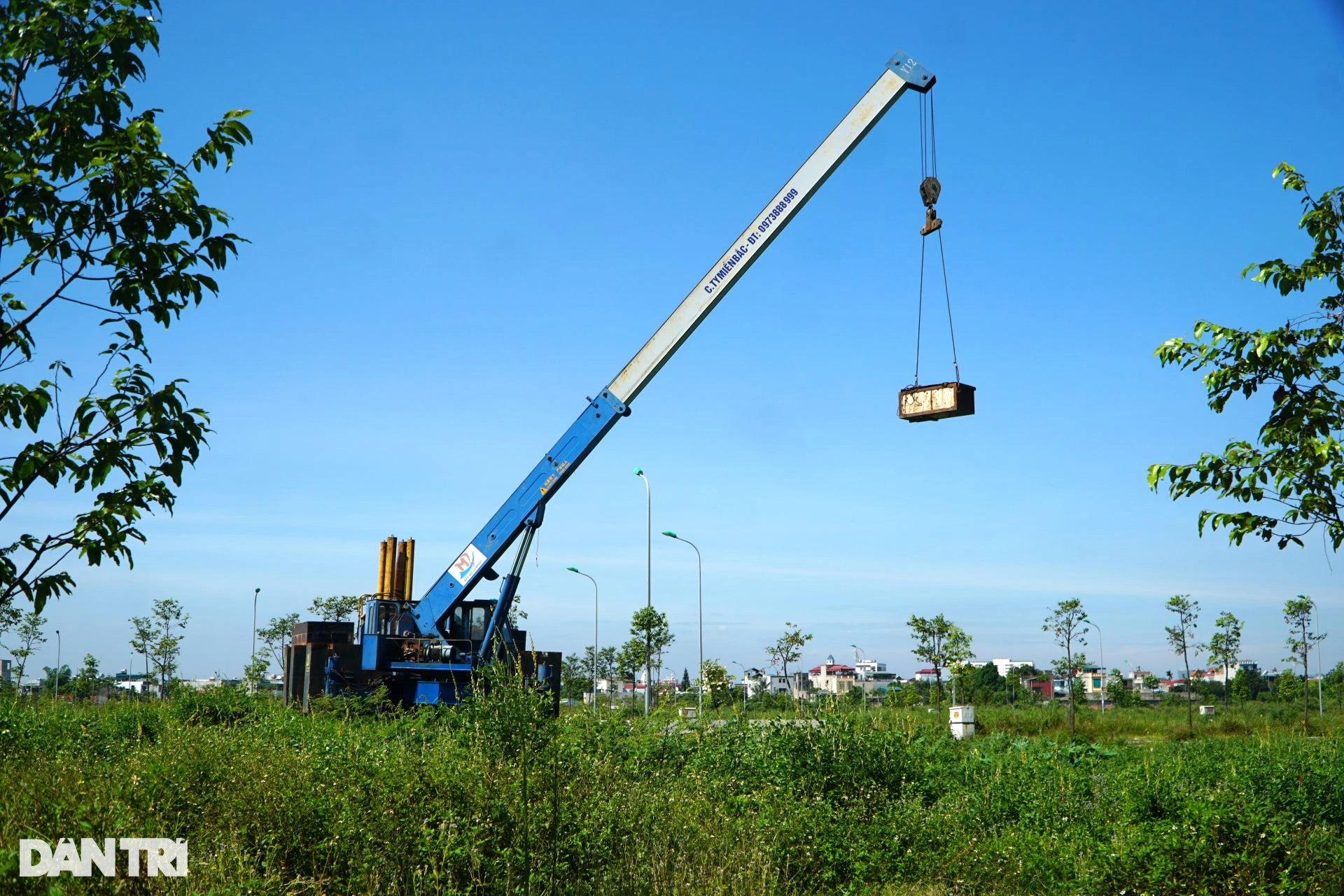 Mặt bằng nghìn tỷ đồng giữa lòng thành phố Thanh Hóa thành nơi thả bò - 3