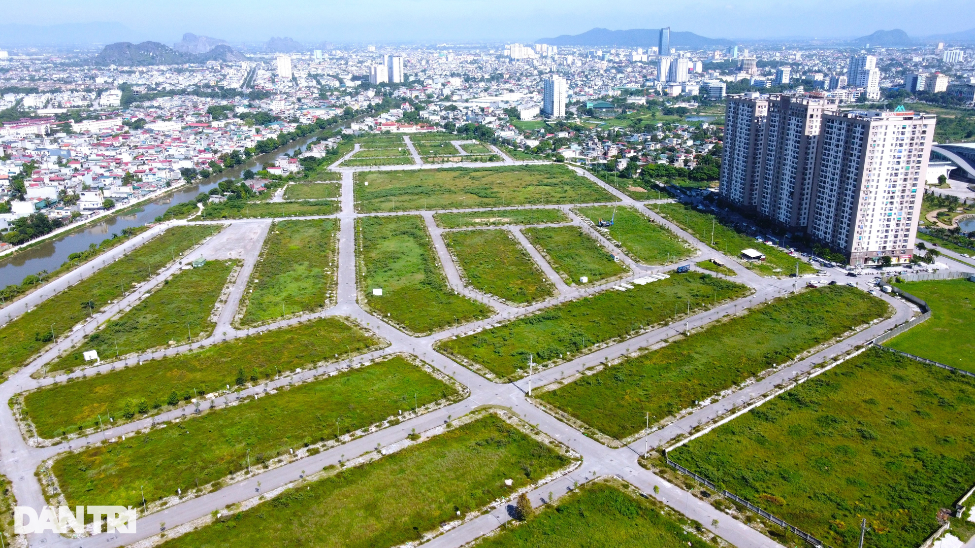 Mặt bằng nghìn tỷ đồng giữa lòng thành phố Thanh Hóa thành nơi thả bò - 1