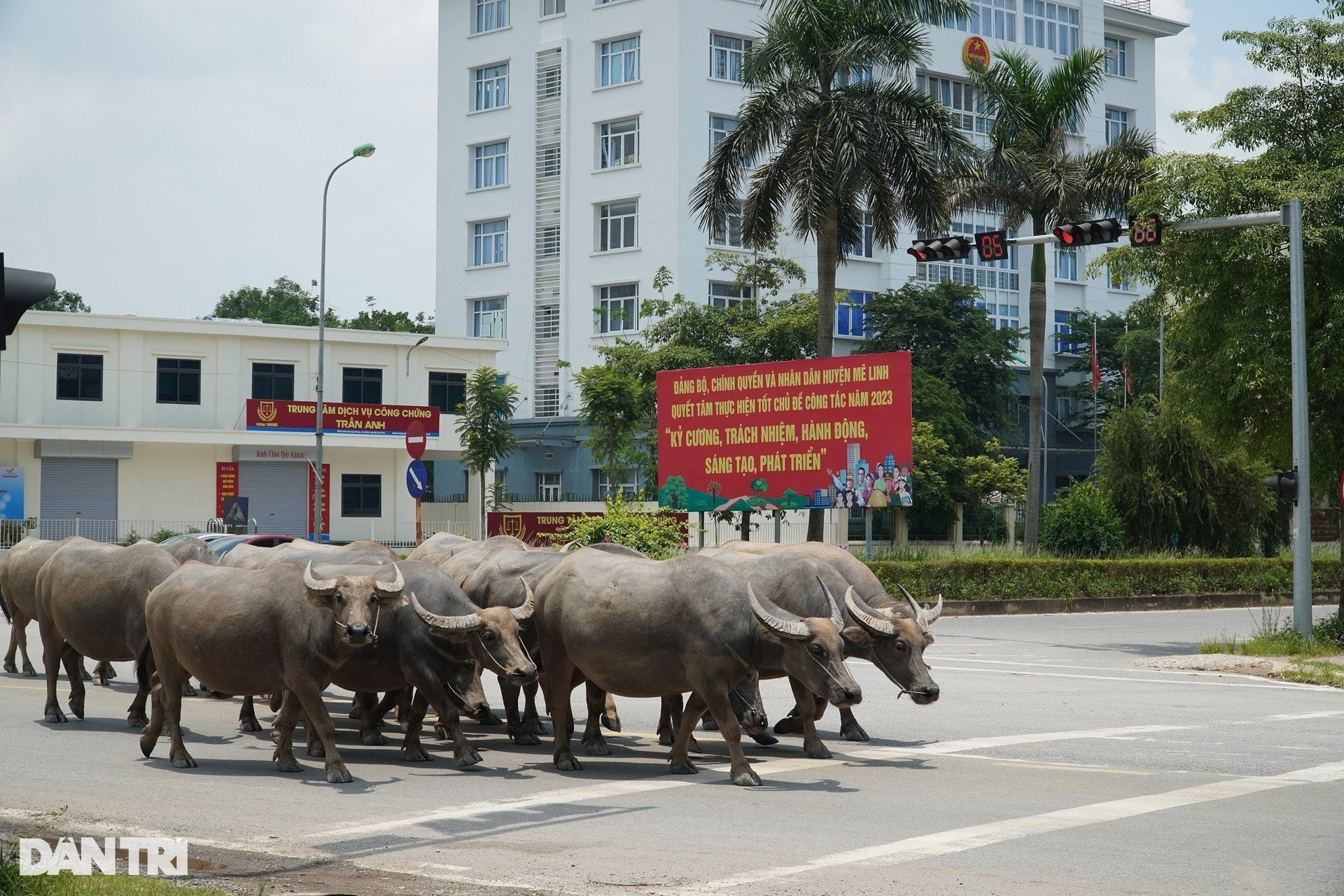 Hiện trạng 2 thành phố tương lai bao quanh nội đô Hà Nội - 15