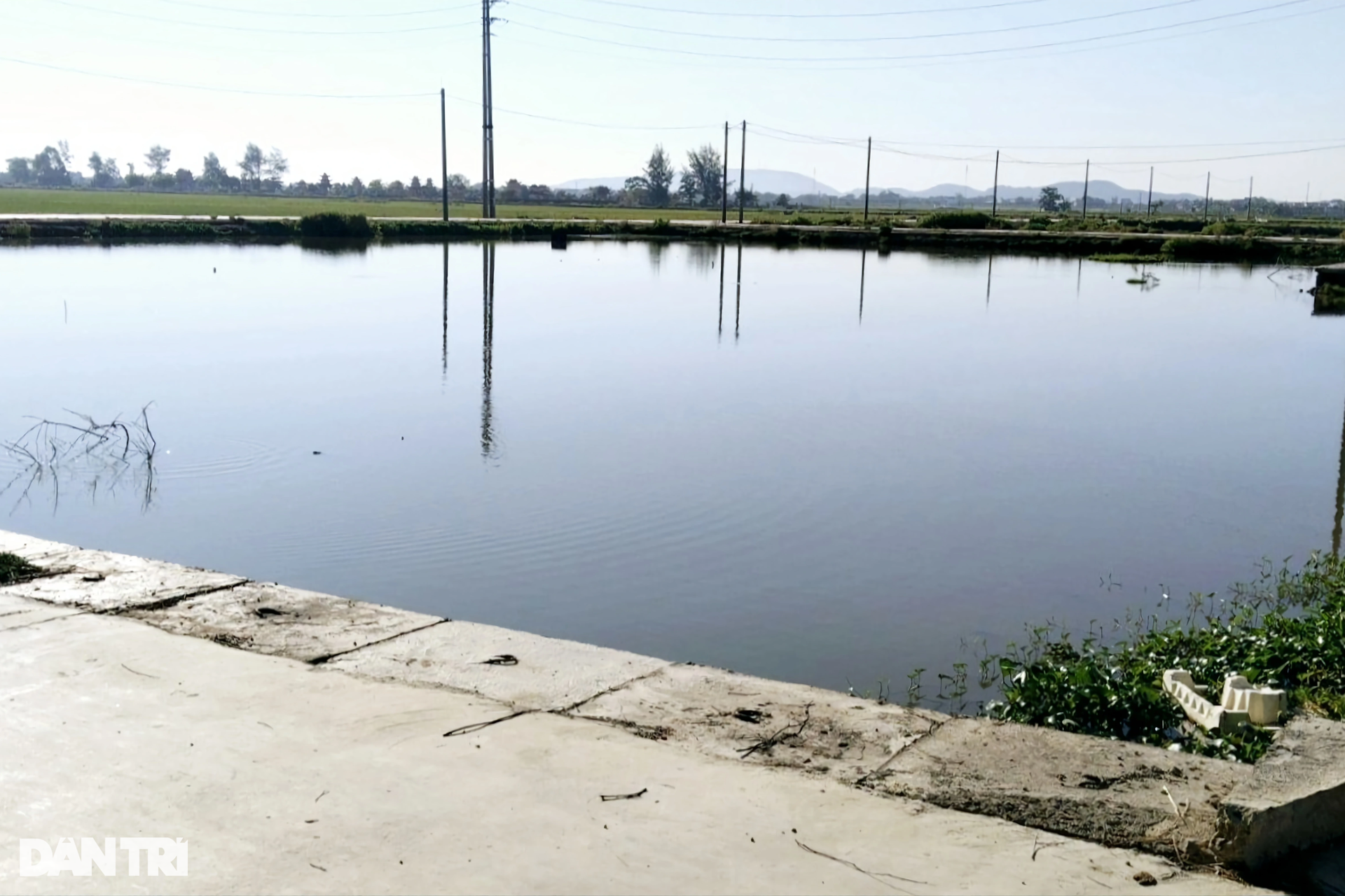 Cận cảnh khu vực em trai phó chủ tịch huyện trúng đấu giá 23 lô đất - 3 Cận cảnh khu vực em trai phó chủ tịch huyện trúng đấu giá 23 lô đất - 3