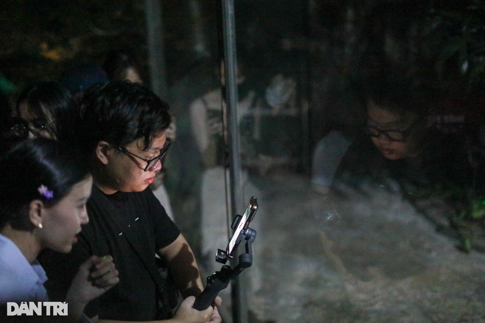 Khám phá tour tham quan thú đêm: Nghe hổ gầm, chim hót ở Thảo Cầm Viên - 6 Khám phá tour tham quan thú đêm: Nghe hổ gầm, chim hót ở Thảo Cầm Viên - 6