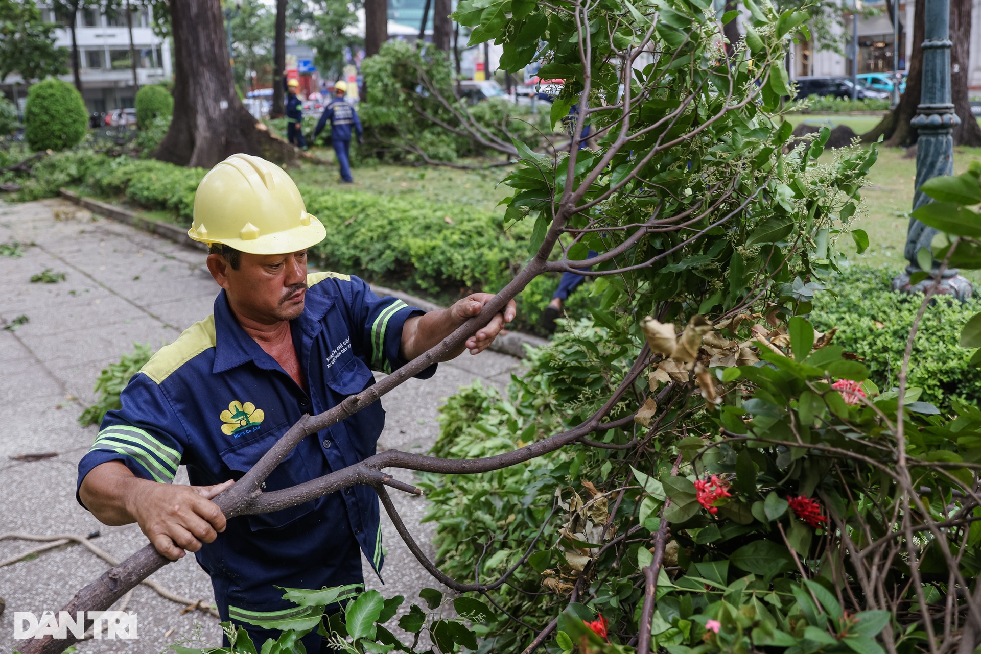 Bắt đầu thi công khán đài chào mừng đại lễ 30/4 ở TPHCM - 10 Bắt đầu thi công khán đài chào mừng đại lễ 30/4 ở TPHCM - 10