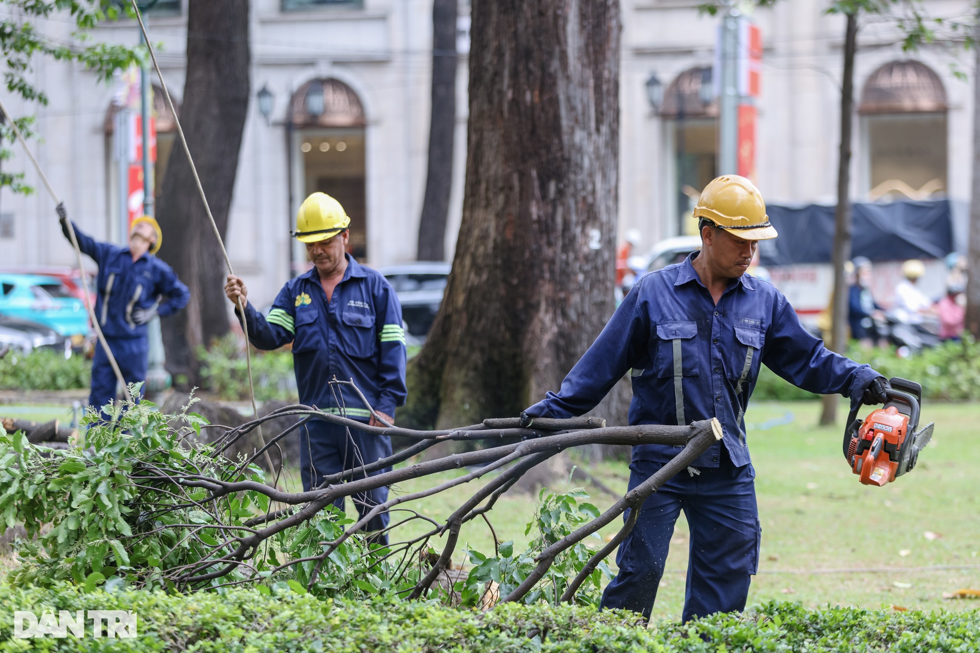 Bắt đầu thi công khán đài chào mừng đại lễ 30/4 ở TPHCM - 8 Bắt đầu thi công khán đài chào mừng đại lễ 30/4 ở TPHCM - 8