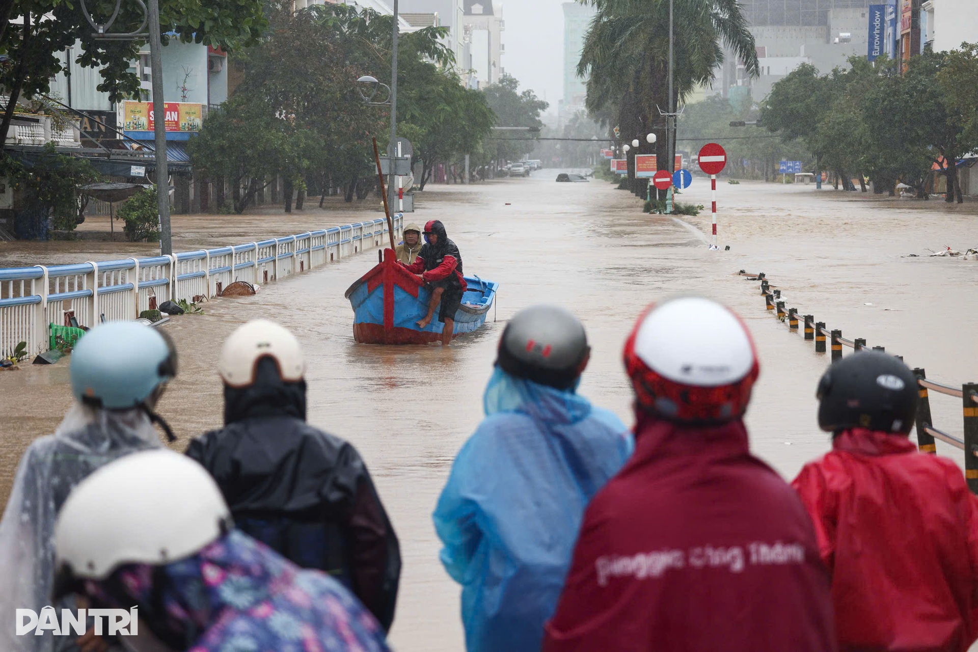 Những ánh mắt hoảng loạn trong dòng lũ vây vùng Phú Yên - 4