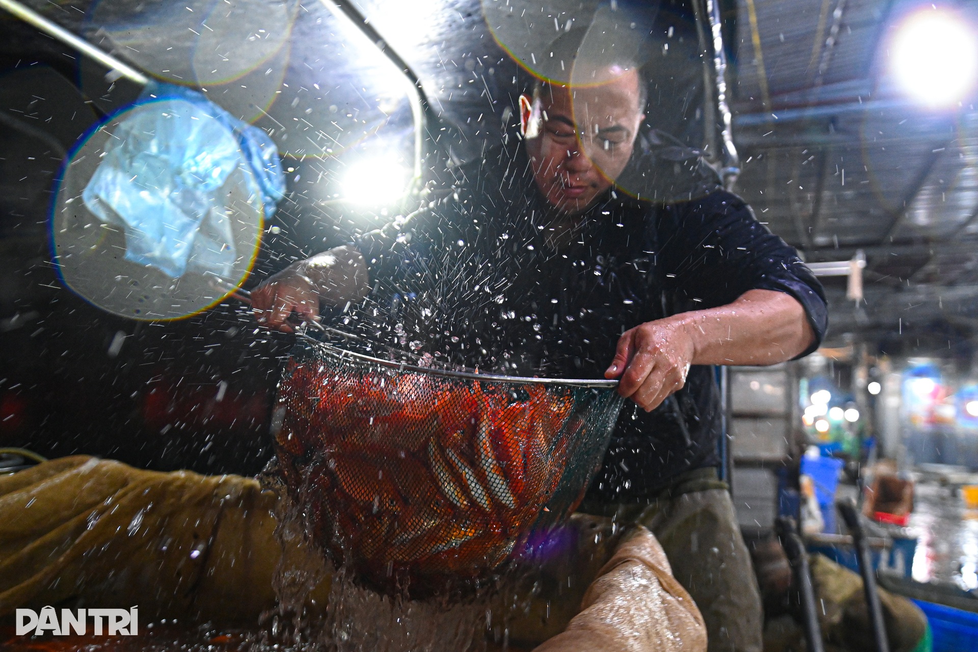 Hanoi’s biggest fish market bustles ahead of Kitchen Gods’ Day - 4 Hanoi’s biggest fish market bustles ahead of Kitchen Gods’ Day - 4