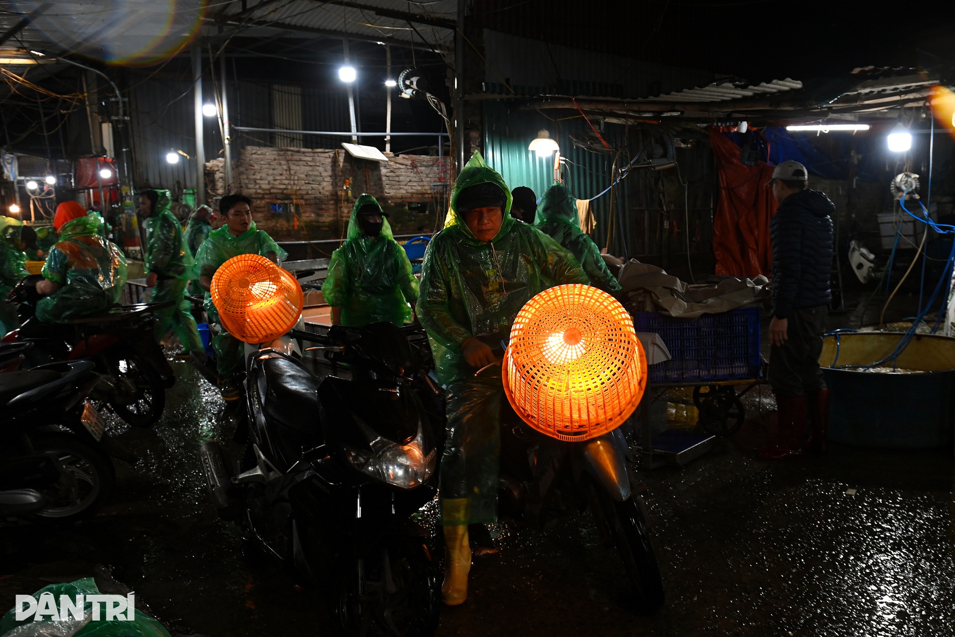 Hanoi’s biggest fish market bustles ahead of Kitchen Gods’ Day - 9 Hanoi’s biggest fish market bustles ahead of Kitchen Gods’ Day - 9