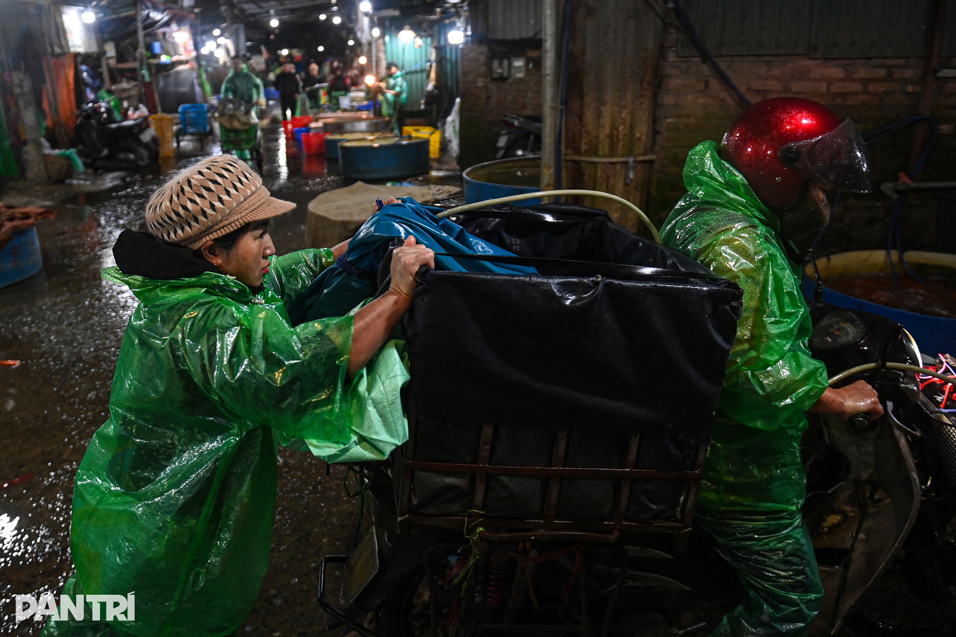 Hanoi’s biggest fish market bustles ahead of Kitchen Gods’ Day - 6 Hanoi’s biggest fish market bustles ahead of Kitchen Gods’ Day - 6
