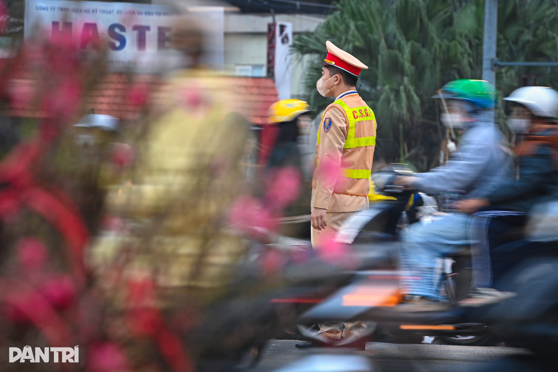 Peach blossoms and kumquat trees inch through Hanoi gridlock before Tet - 10 Peach blossoms and kumquat trees inch through Hanoi gridlock before Tet - 10
