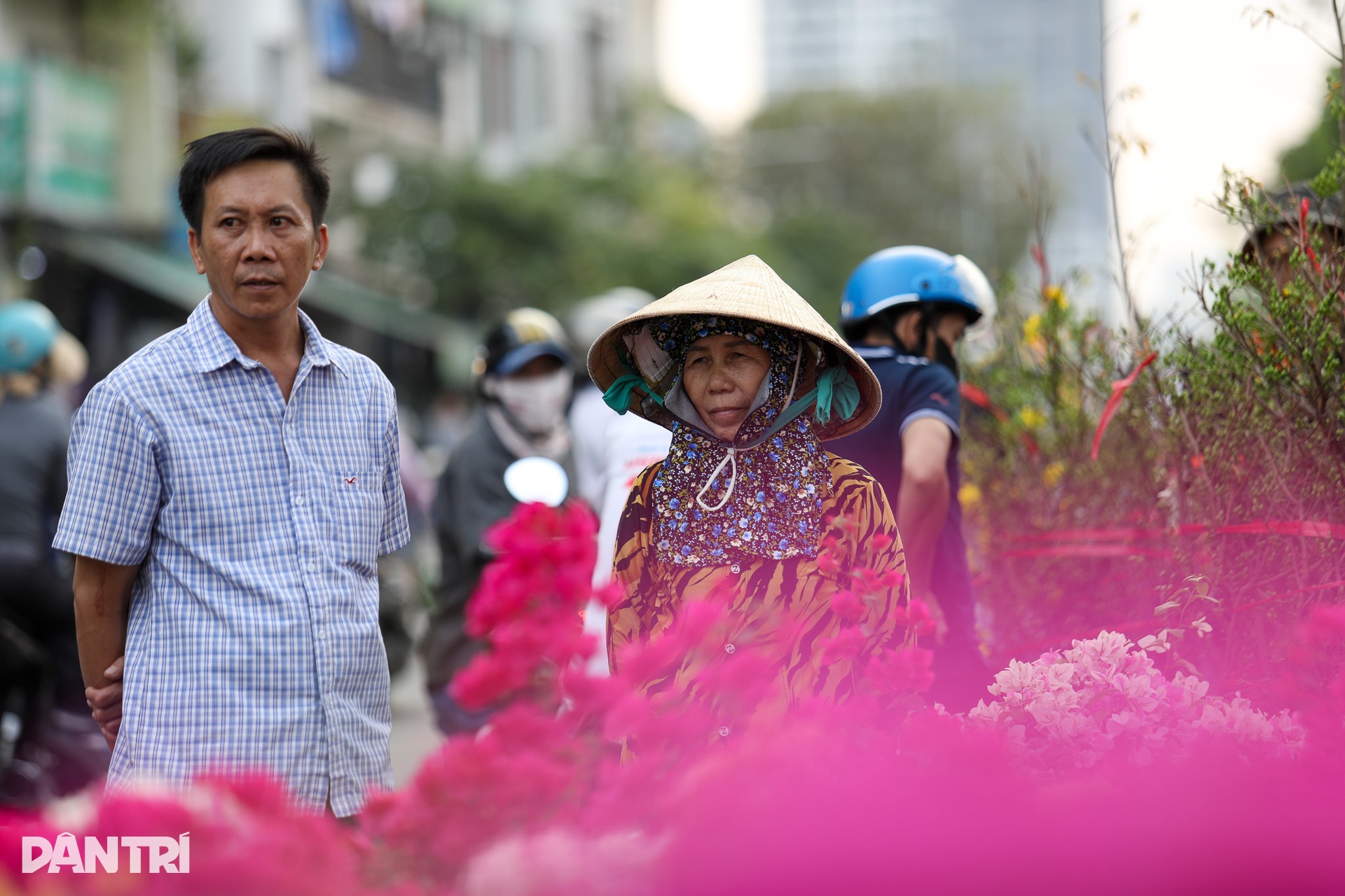 Brilliant blooms light up HCM City's floating Tet flower market - 9