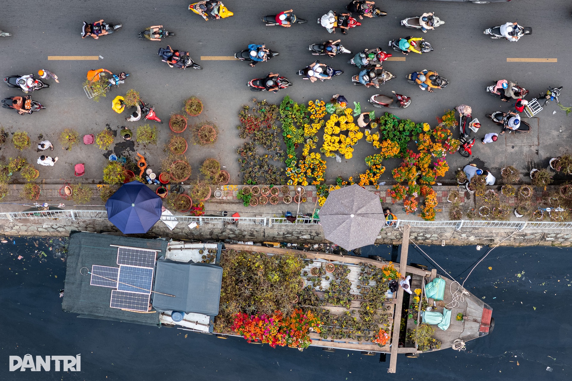 Brilliant blooms light up HCM City's floating Tet flower market - 2