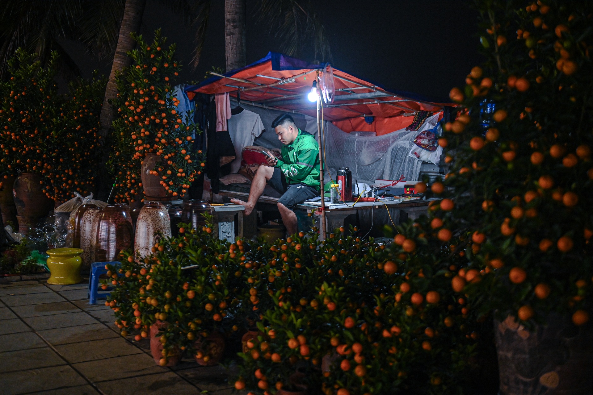 Vendors camp overnight to guard Tet flowers on Hanoi streets - 4 Vendors camp overnight to guard Tet flowers on Hanoi streets - 4