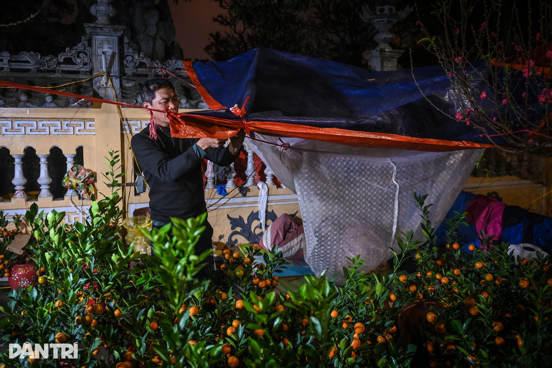 Vendors camp overnight to guard Tet flowers on Hanoi streets - 6 Vendors camp overnight to guard Tet flowers on Hanoi streets - 6