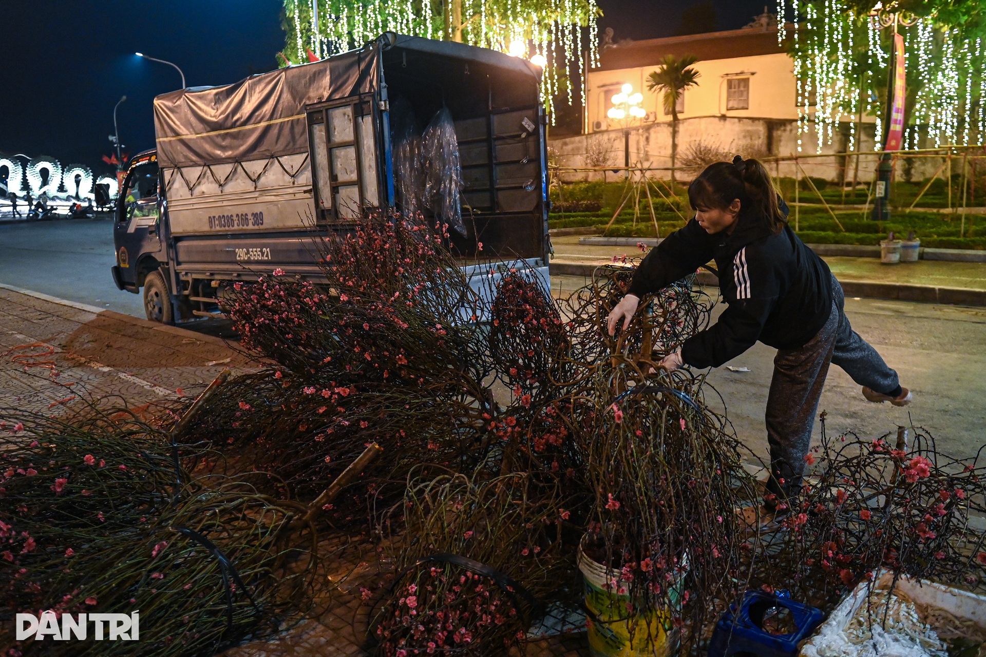 Vendors camp overnight to guard Tet flowers on Hanoi streets - 12 Vendors camp overnight to guard Tet flowers on Hanoi streets - 12
