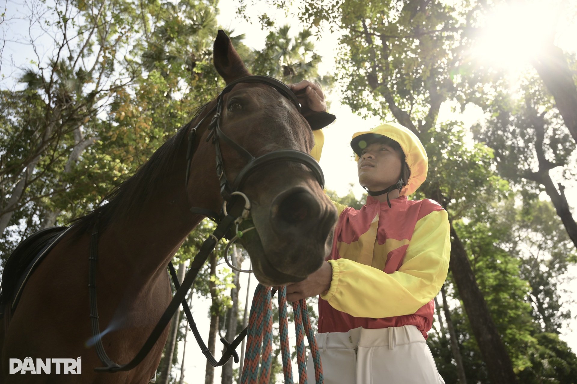 Hundreds in Ho Chi Minh City try horse riding during Tet holiday - 2 Hundreds in Ho Chi Minh City try horse riding during Tet holiday - 2