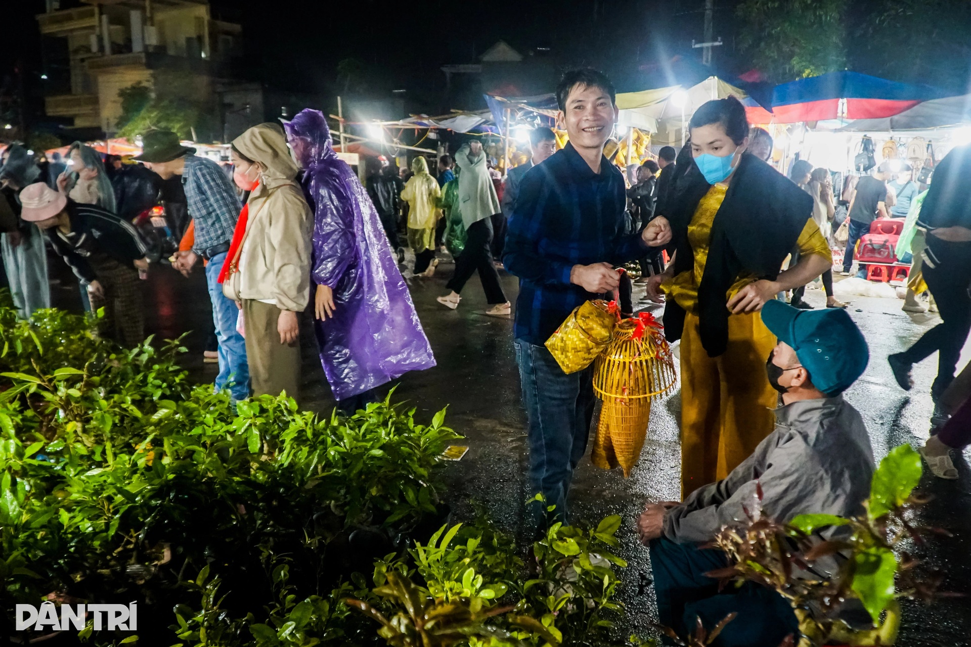 Crowds brave rain for luck-buying market in Ninh Binh - 4 Crowds brave rain for luck-buying market in Ninh Binh - 4