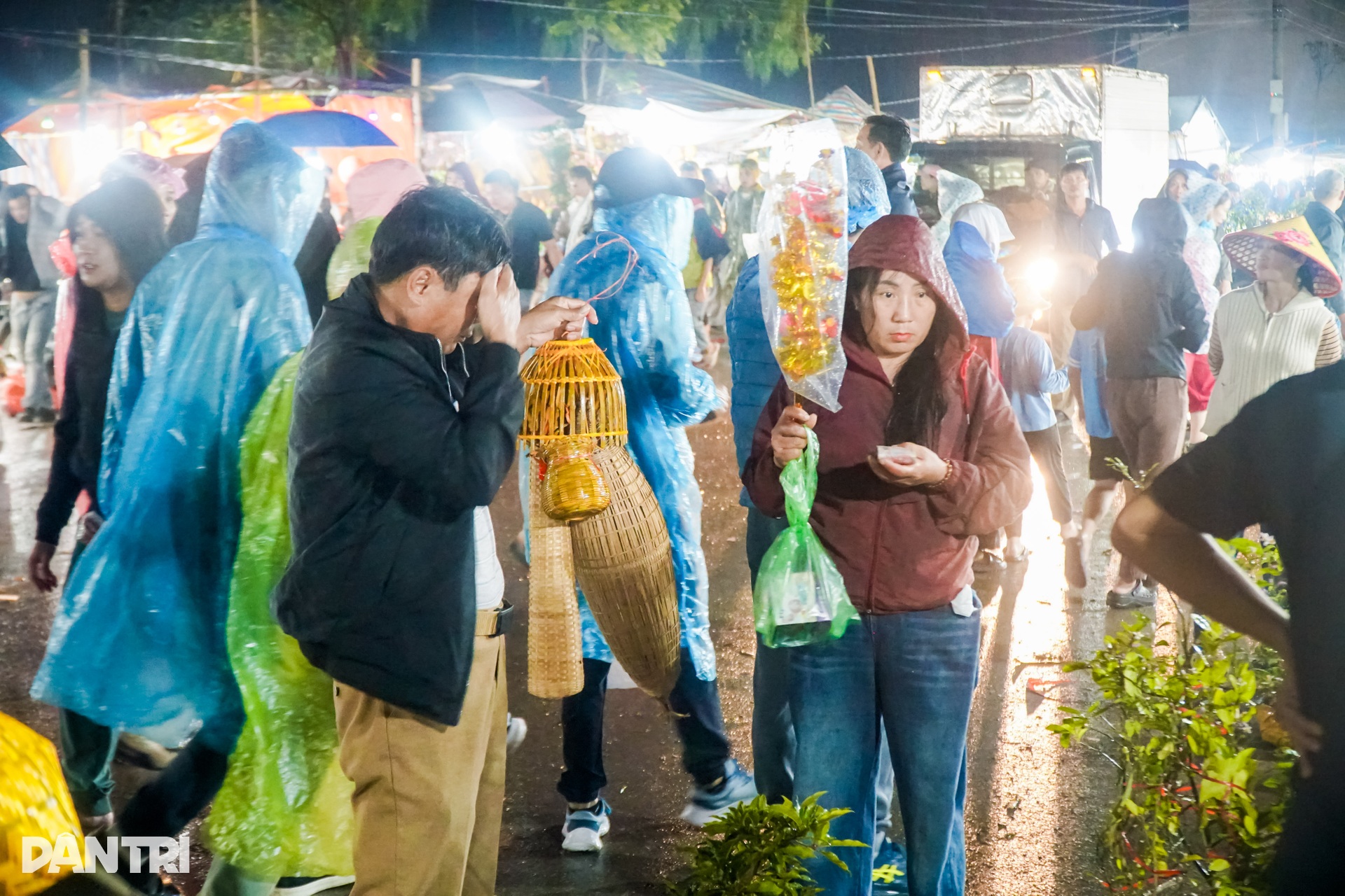 Crowds brave rain for luck-buying market in Ninh Binh - 2 Crowds brave rain for luck-buying market in Ninh Binh - 2