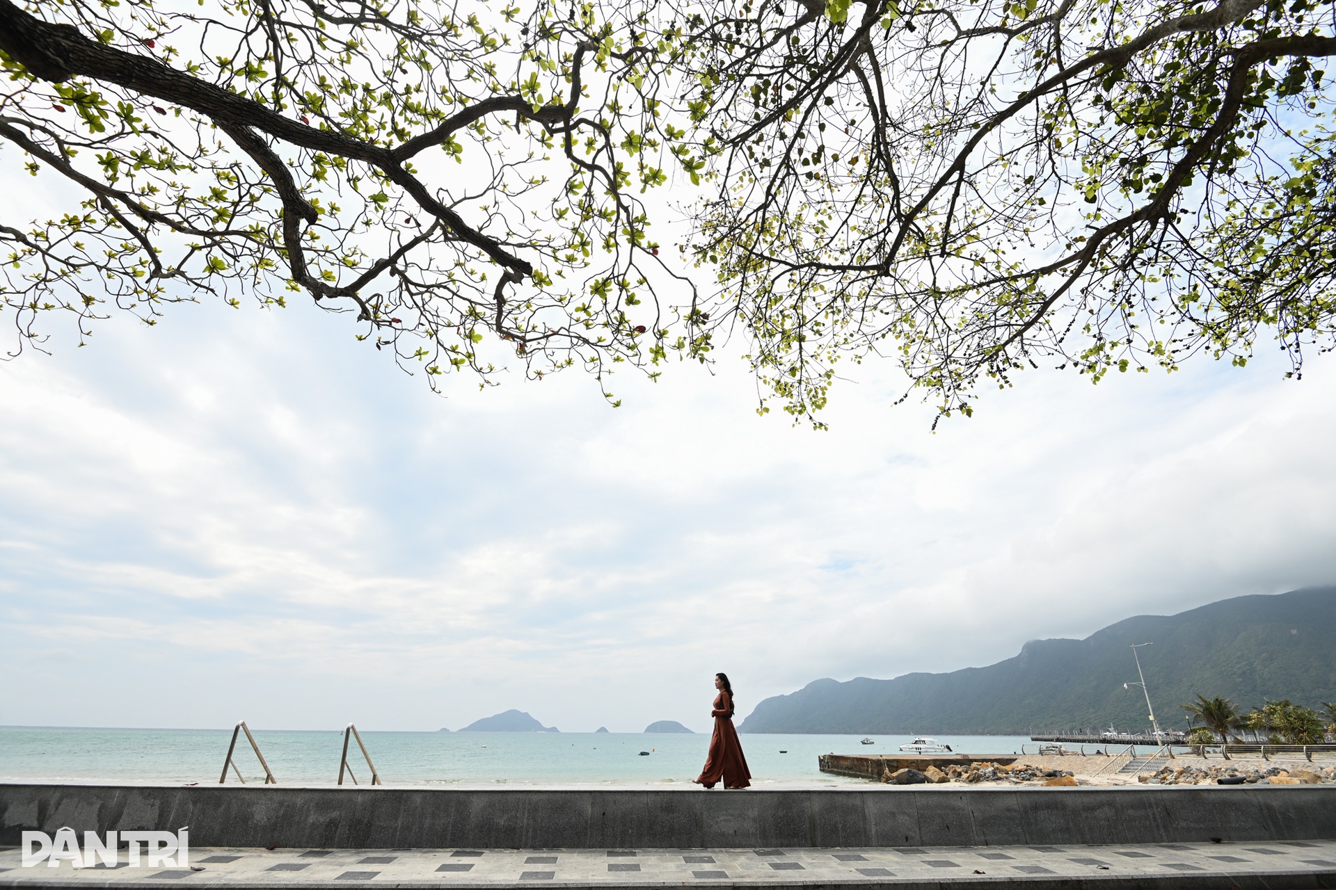 Con Dao stuns visitors as heritage almond trees change leaves - 1