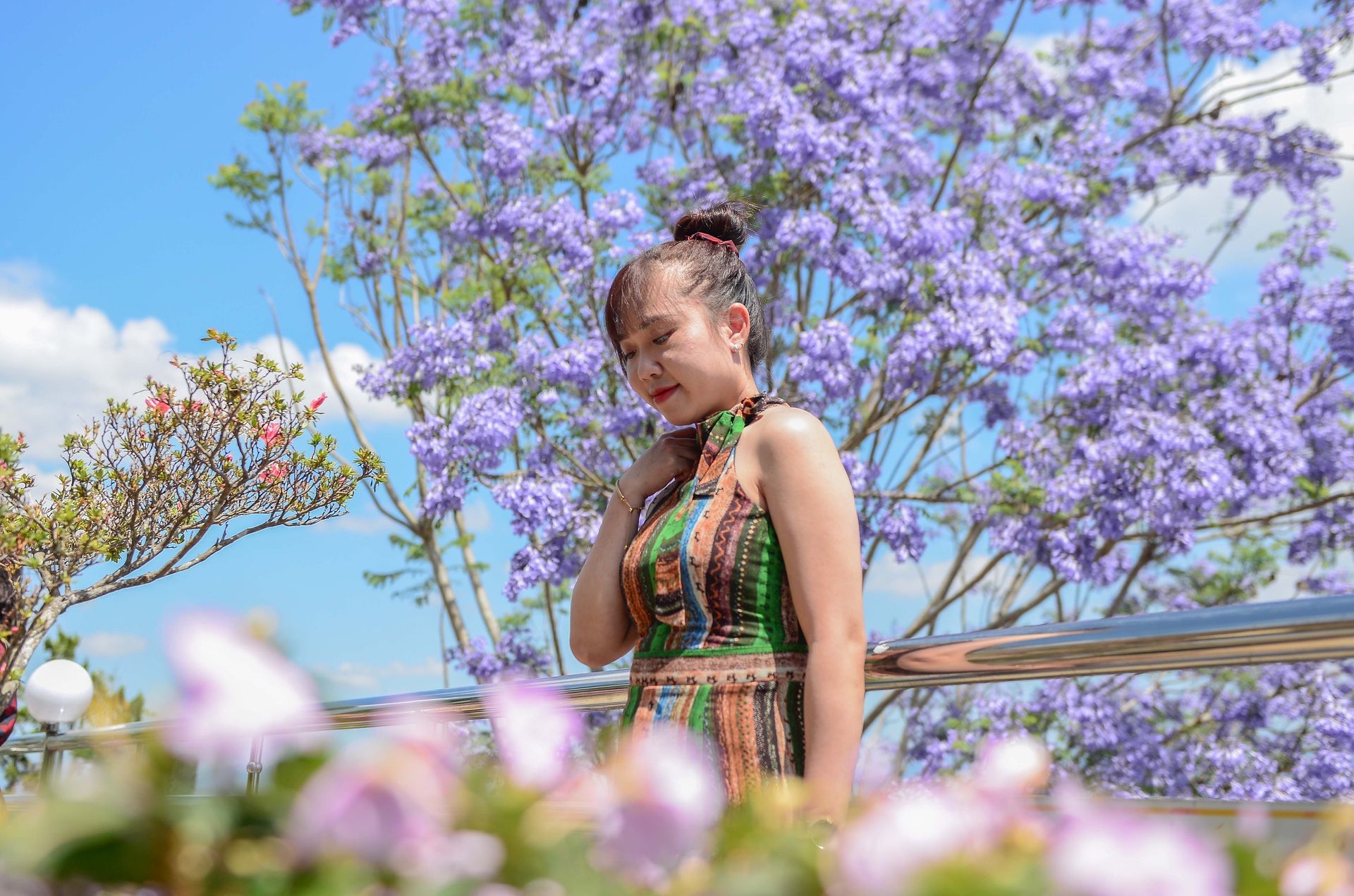 Purple blooms transform Dalat into a romantic draw - 11