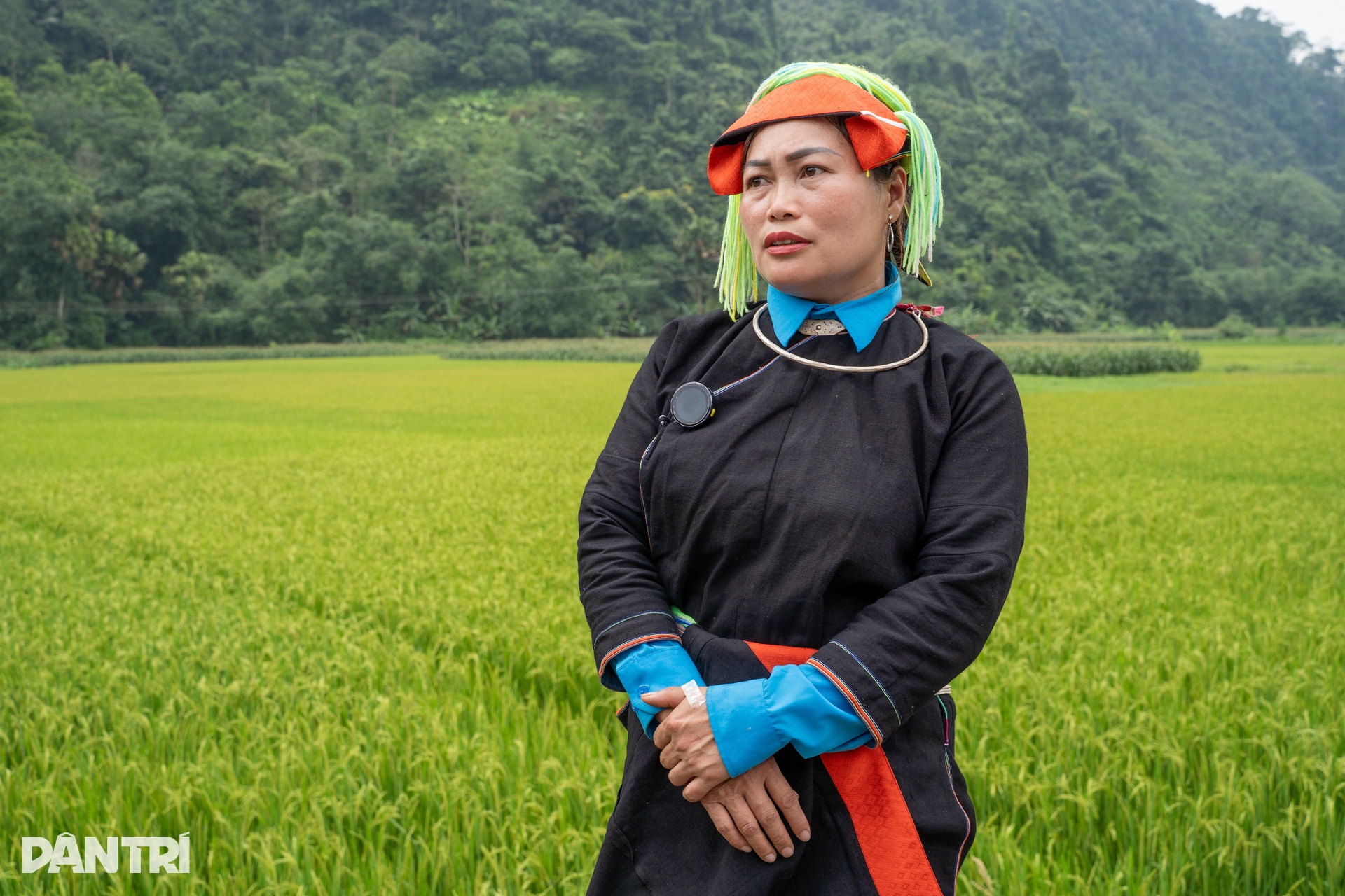 Dantri begins construction of 11 houses for poor families in Tuyen Quang - 6