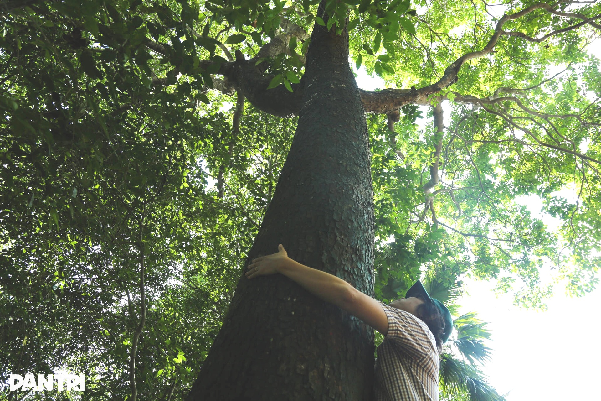 200-hectare forest serves as Dong Nai's green lung - 6 200-hectare forest serves as Dong Nai's green lung - 6