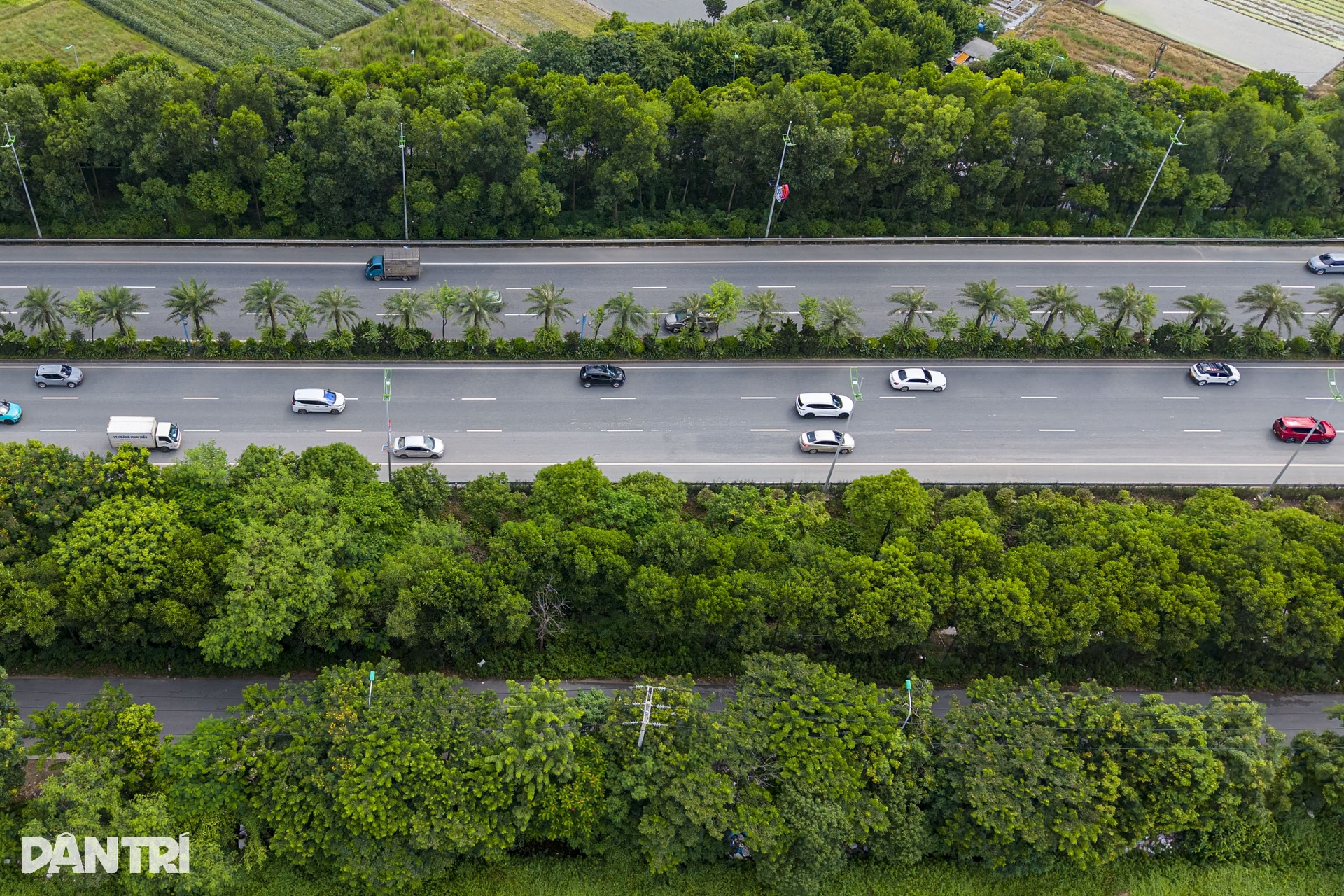 Hanoi's 'green lungs' amid the urban bustle - 3