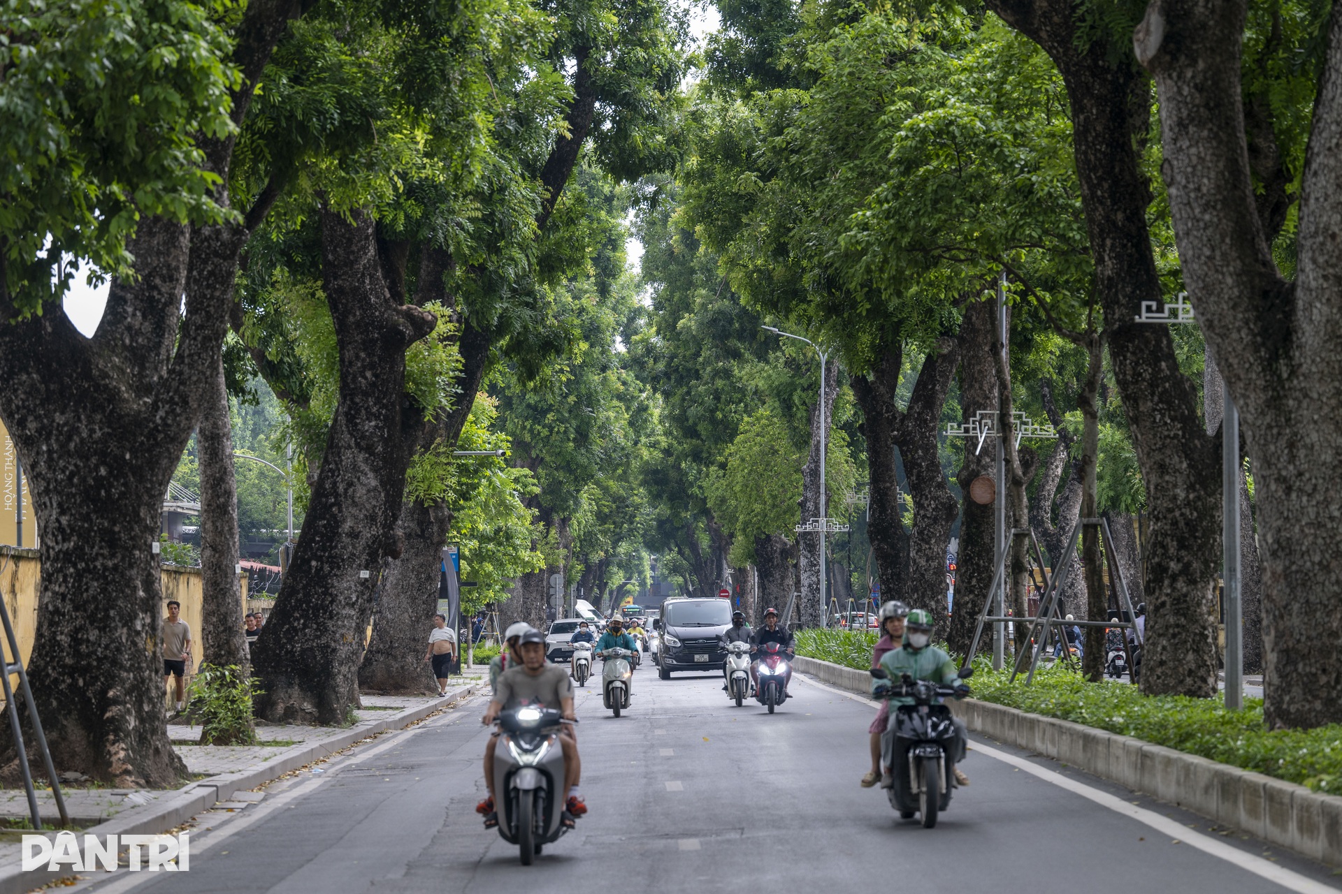 Hanoi's 'green lungs' amid the urban bustle - 6