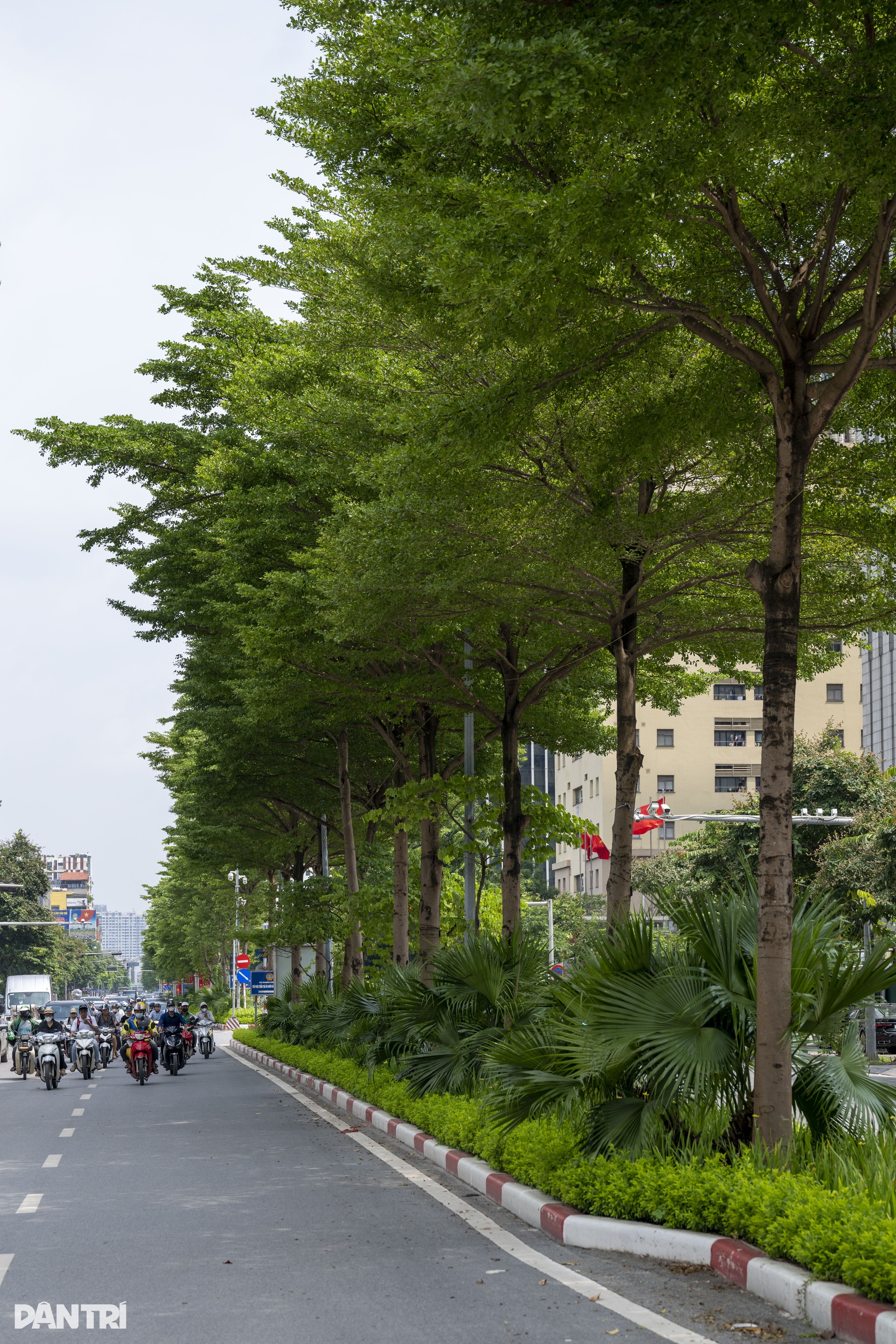Hanoi's 'green lungs' amid the urban bustle - 7