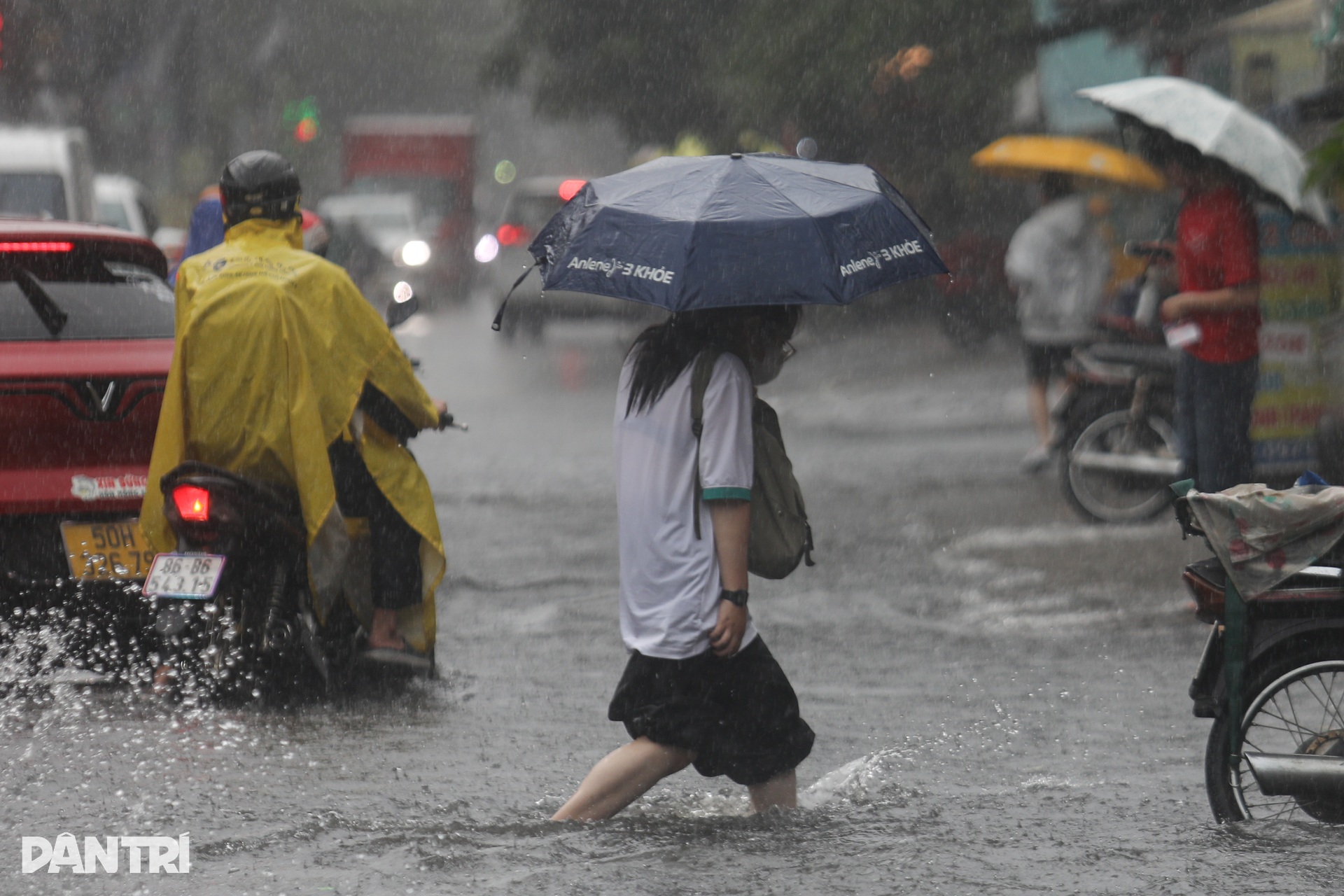 Downpours flood Bui Vien walking street in HCM City - 7